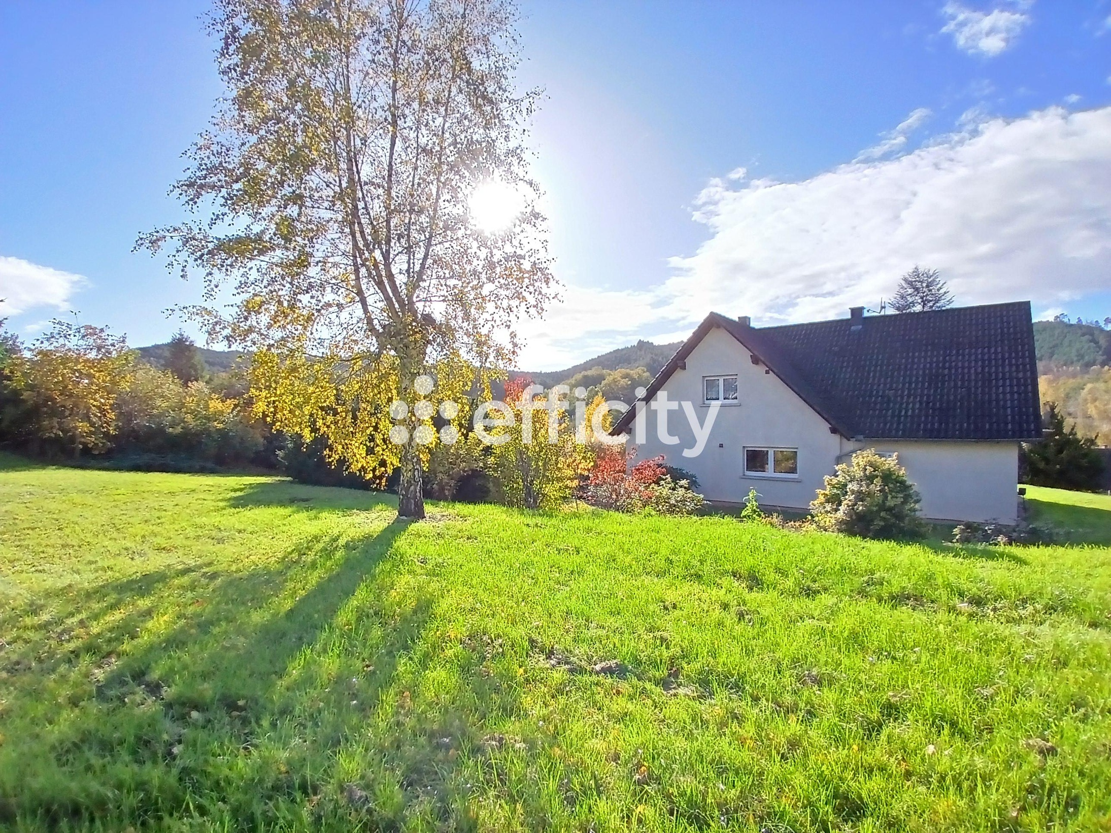 Achat immobilier Maison 6 pièces  187m2 à Baerenthal (57230) - Photo n°1