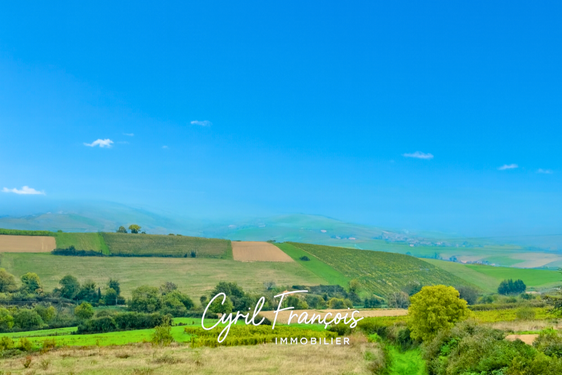 maison 5 pièces - 134m2 à Ternand (69620)