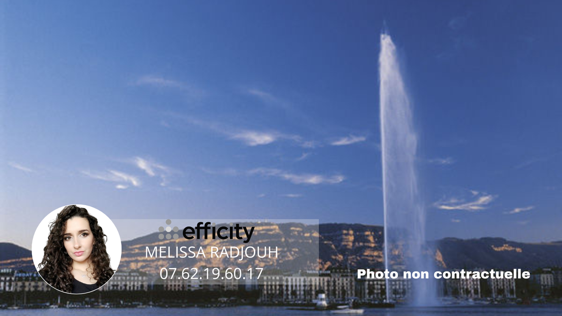 fonds-de-commerce  - 173m2 à Saint-Genis-Pouilly (01630)