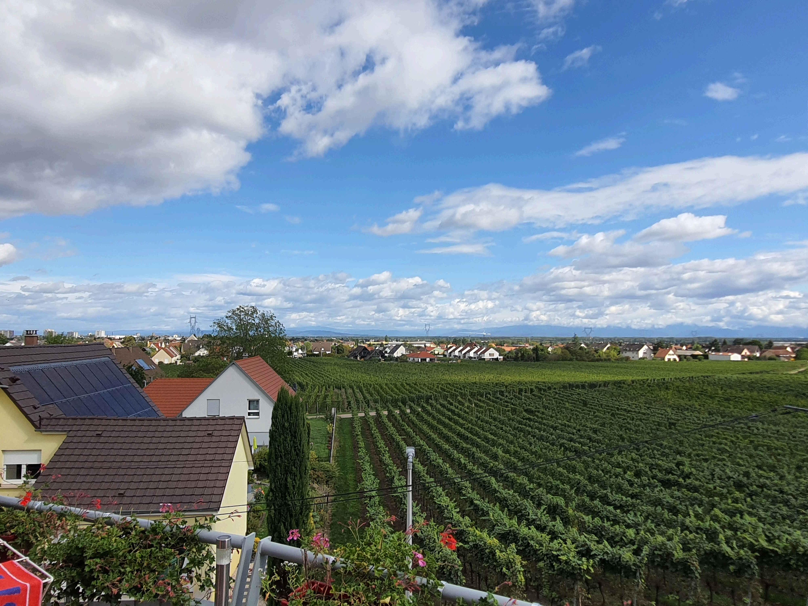 Achat immobilier Appartement 5 pièces  81m2 à Wintzenheim (68920) - Photo n°17