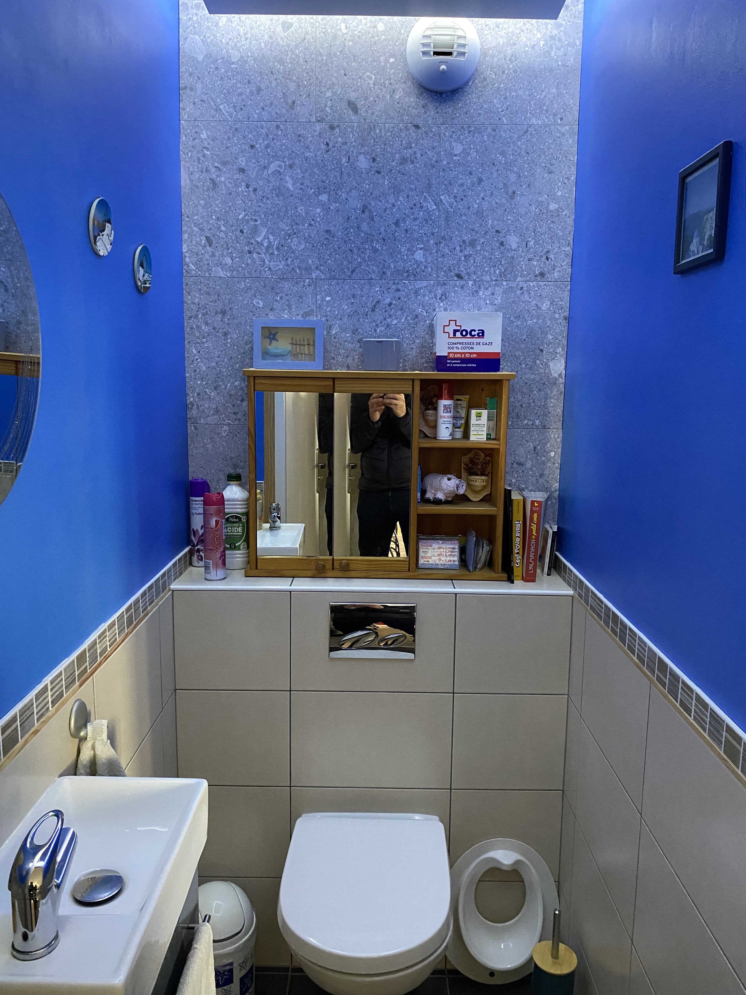 Achat immobilier Appartement 5 pièces  81m2 à Wintzenheim (68920) - Photo n°14