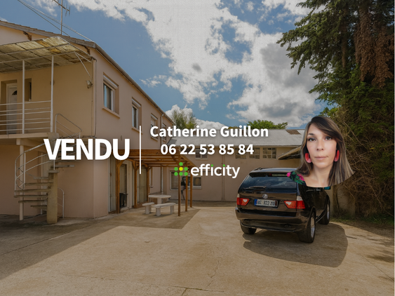 immeuble 8 pièces - 196m2 à Poitiers (86000)