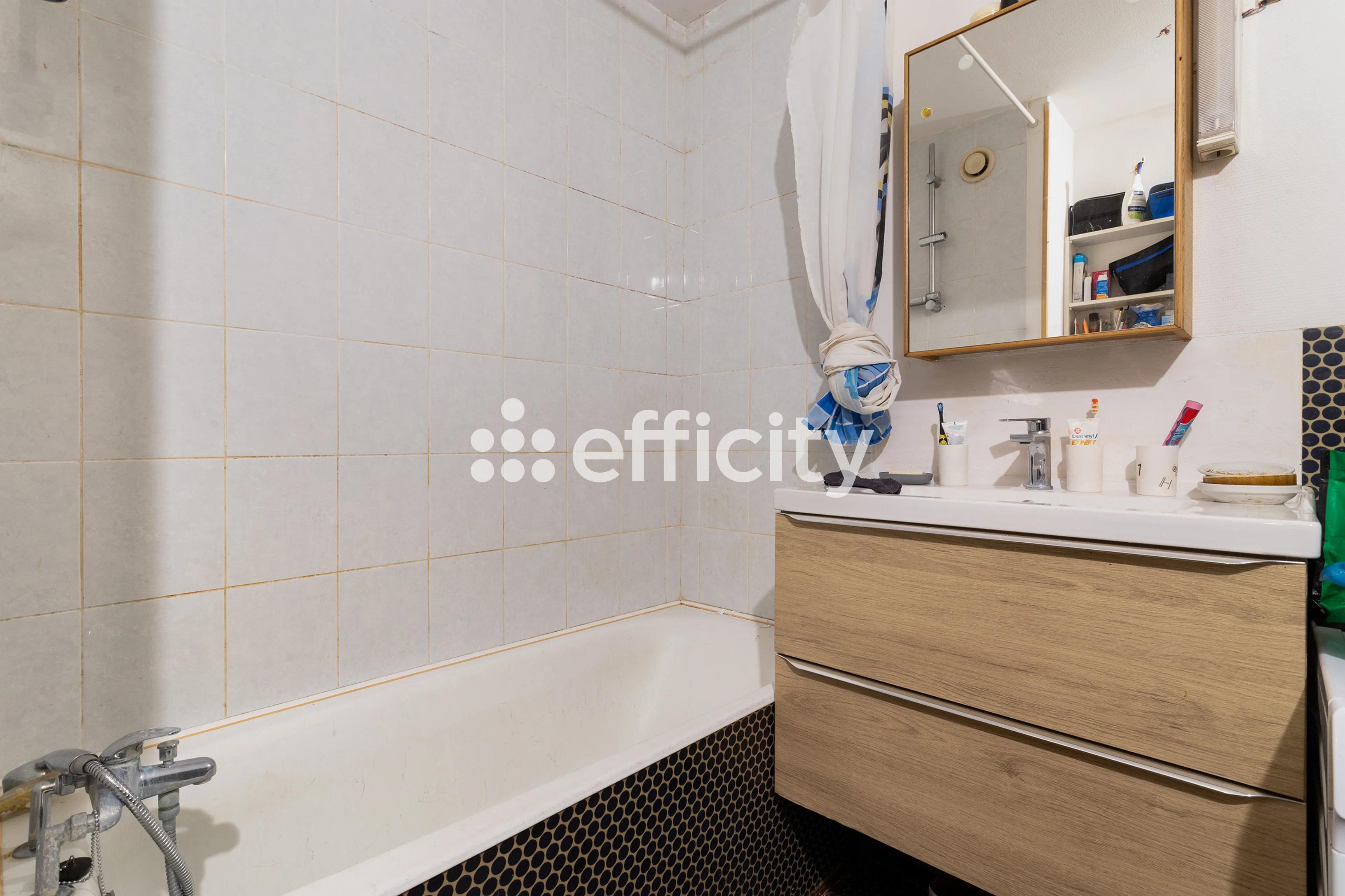 Achat immobilier Appartement 2 pièces  51m2 à Lille (59000) - Photo n°5