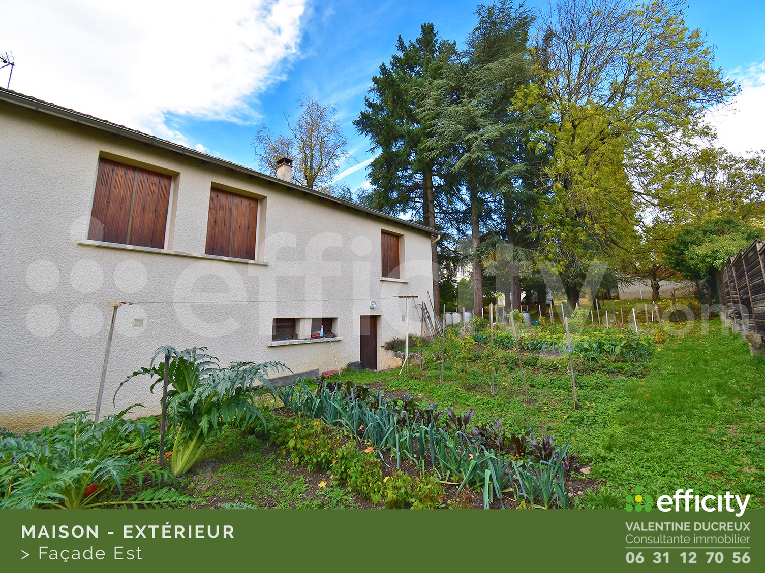 Achat immobilier Maison 5 pièces  101m2 à Chazelles-sur-Lyon (42140) - Photo n°7