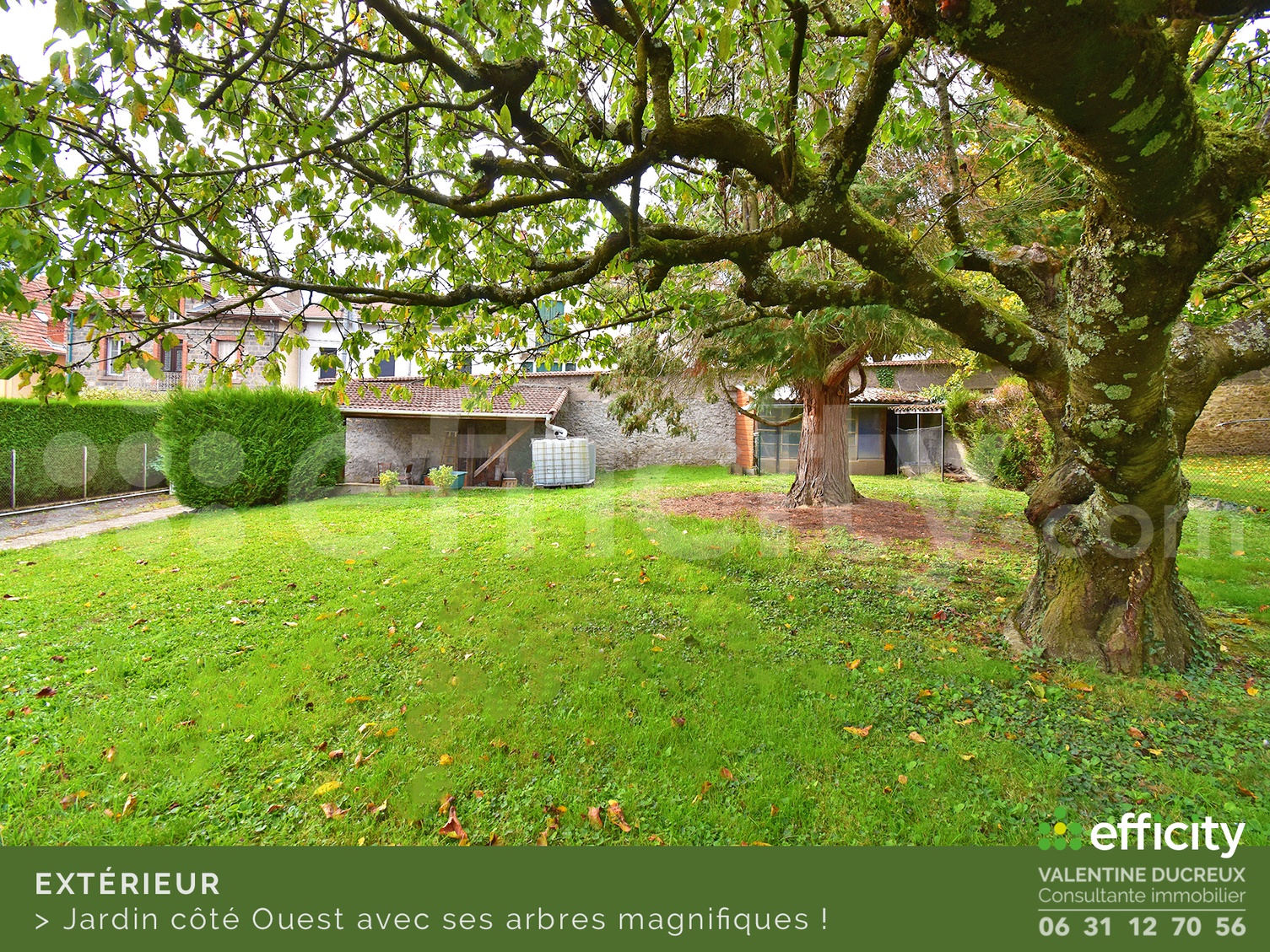 Achat immobilier Maison 5 pièces  101m2 à Chazelles-sur-Lyon (42140) - Photo n°4