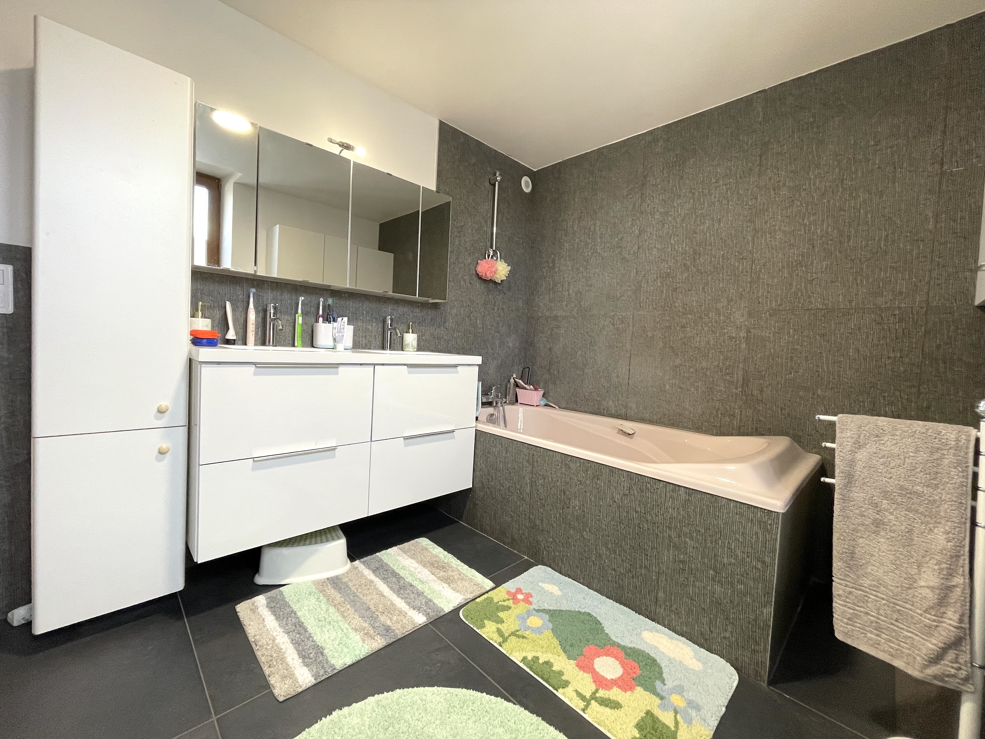 Achat immobilier Maison 6 pièces  165m2 à Saint-Rambert-d'Albon (26140) - Photo n°14