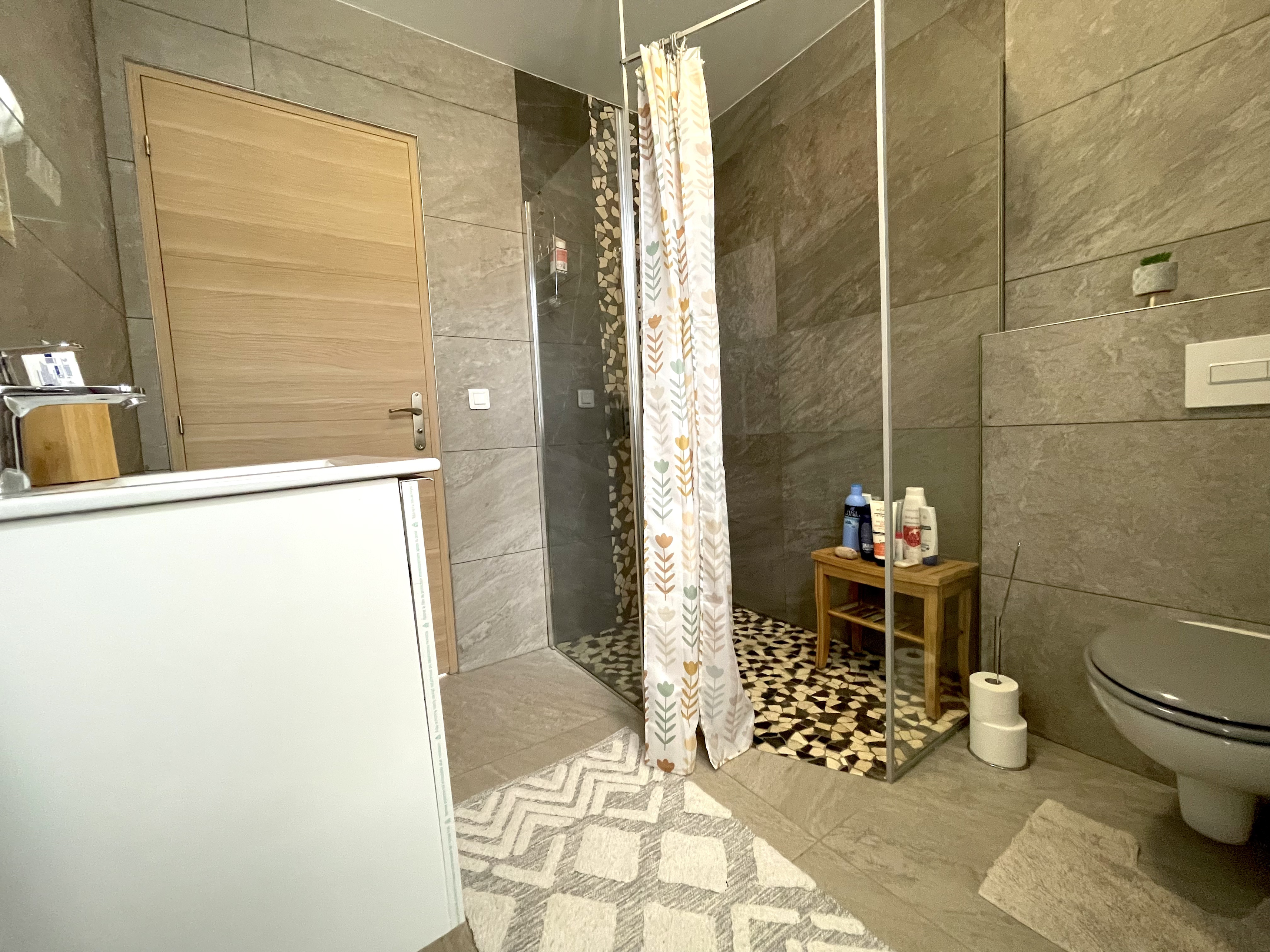 Achat immobilier Maison 6 pièces  165m2 à Saint-Rambert-d'Albon (26140) - Photo n°15