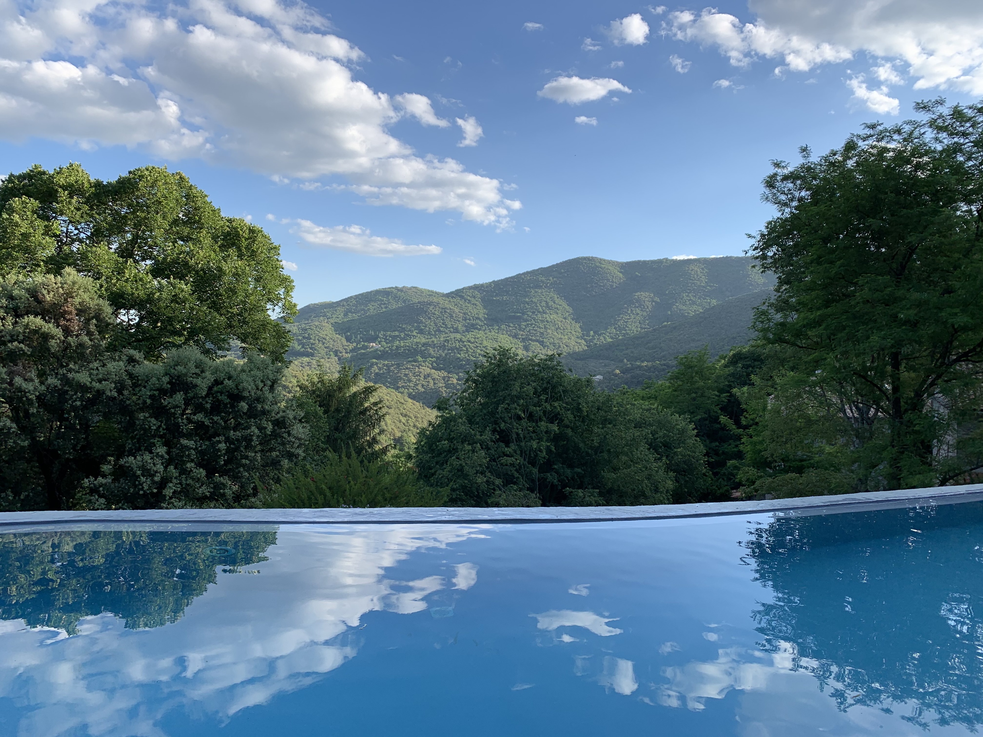 Achat immobilier Maison 47 pièces  1281m2 à Saint-André-de-Majencoules (30570) - Photo n°4