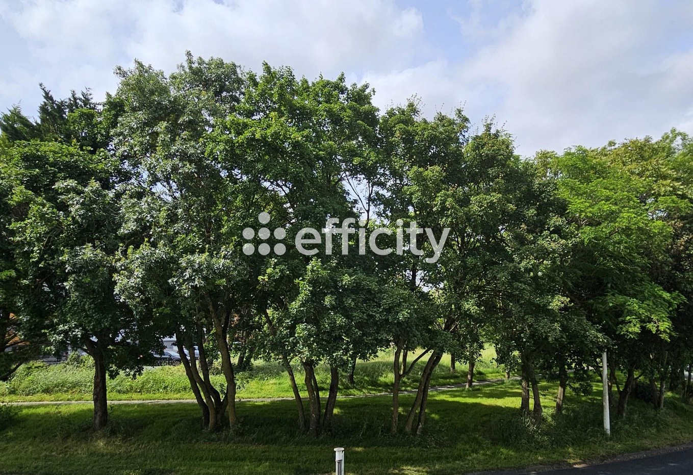 Achat immobilier Appartement 2 pièces  34m2 à La Rochelle (17000) - Photo n°6