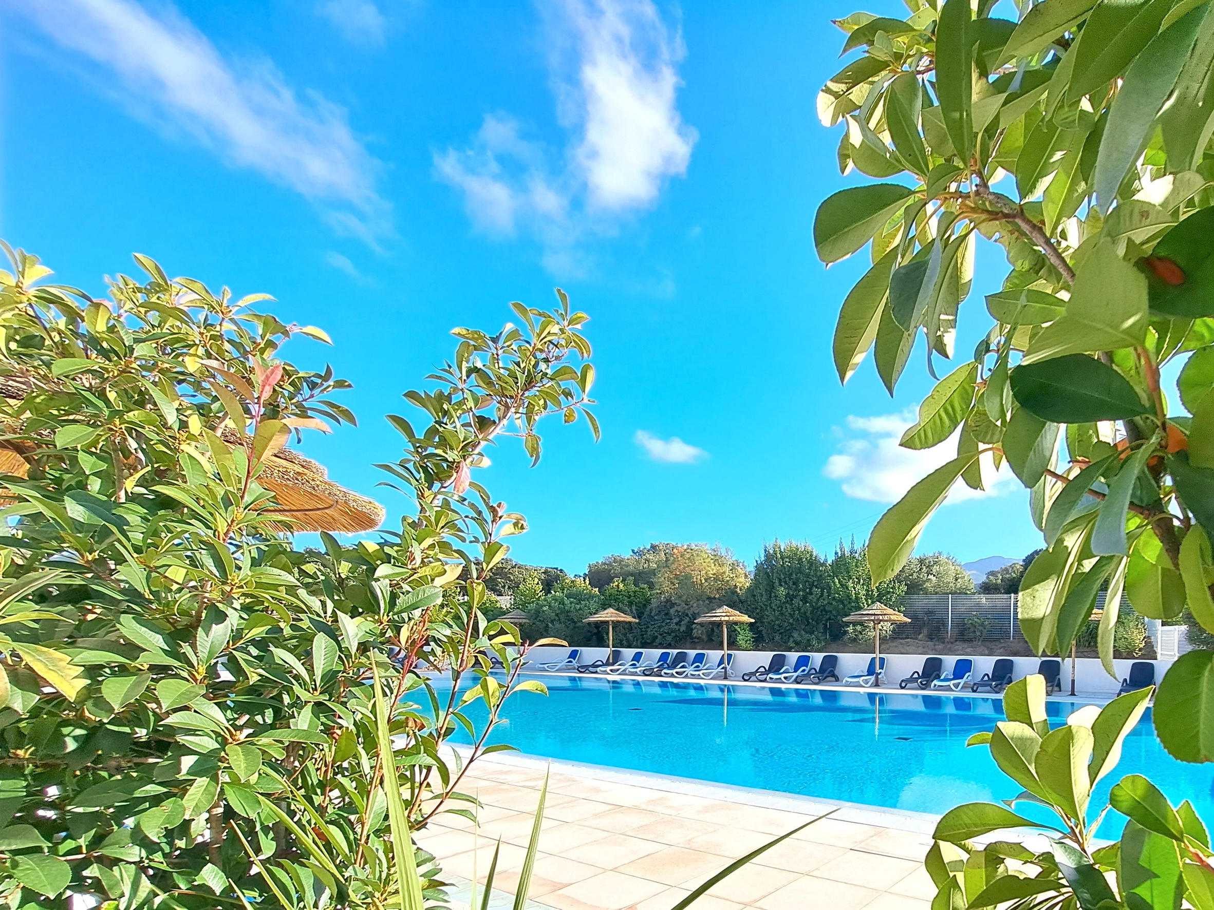 Achat immobilier Maison 2 pièces  34m2 à Belgodère (20226) - Photo n°12