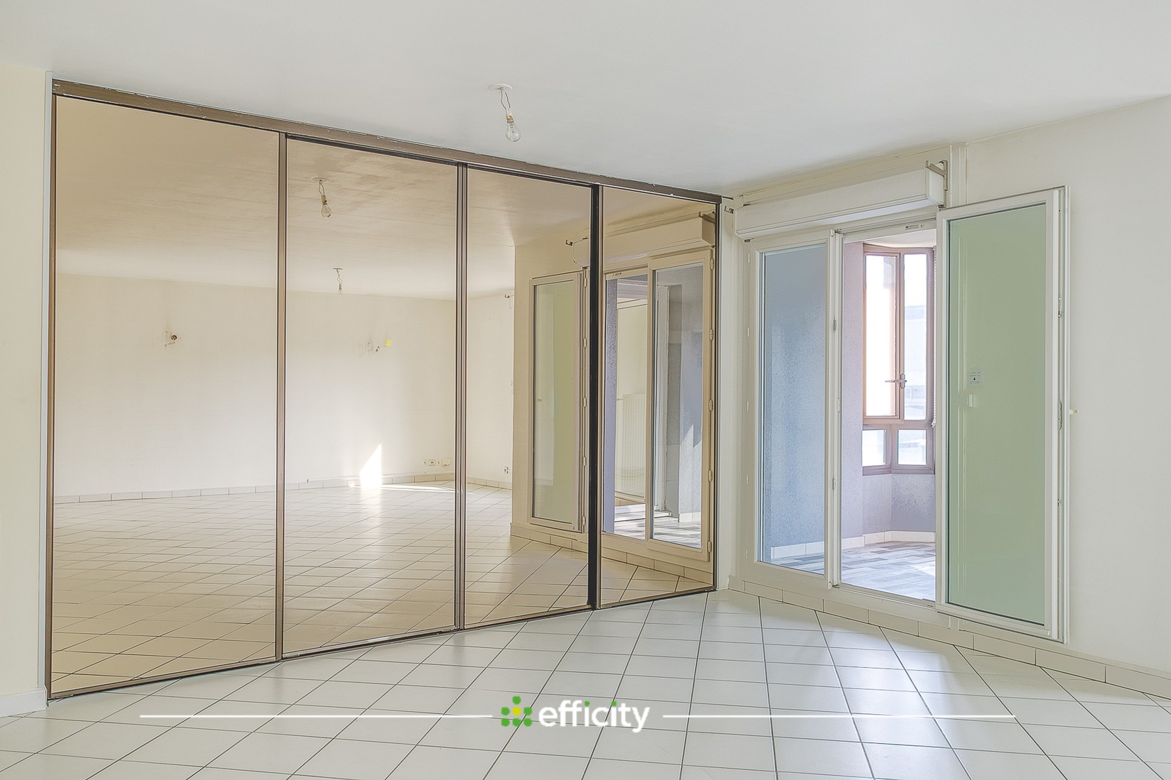 Achat immobilier Appartement 4 pièces  93m2 à Villeurbanne (69100) - Photo n°4