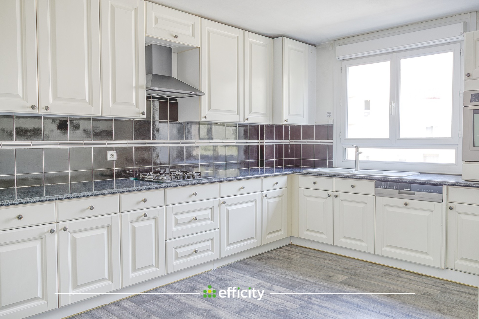 Achat immobilier Appartement 4 pièces  93m2 à Villeurbanne (69100) - Photo n°5