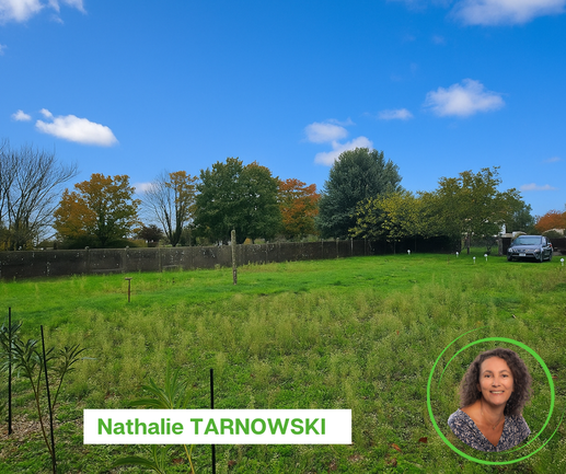 terrain  - 703m2 à Surgères (17700)