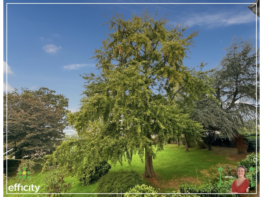 Achat immobilier Maison 8 pièces  300m2 à Val-d'Izé (35450) - Photo n°16