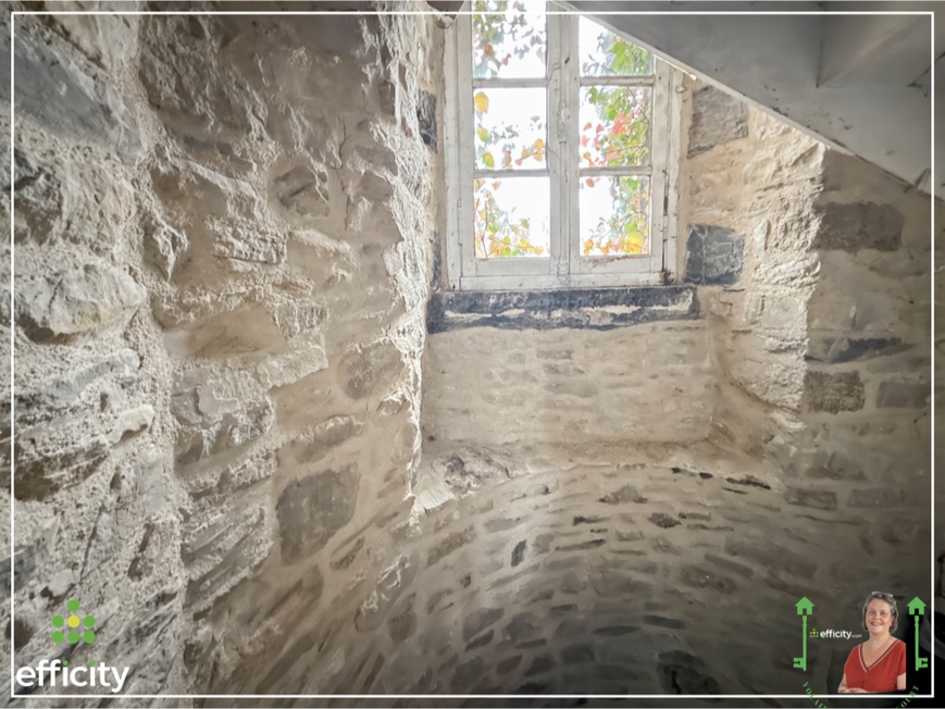 Achat immobilier Maison 8 pièces  300m2 à Val-d'Izé (35450) - Photo n°6