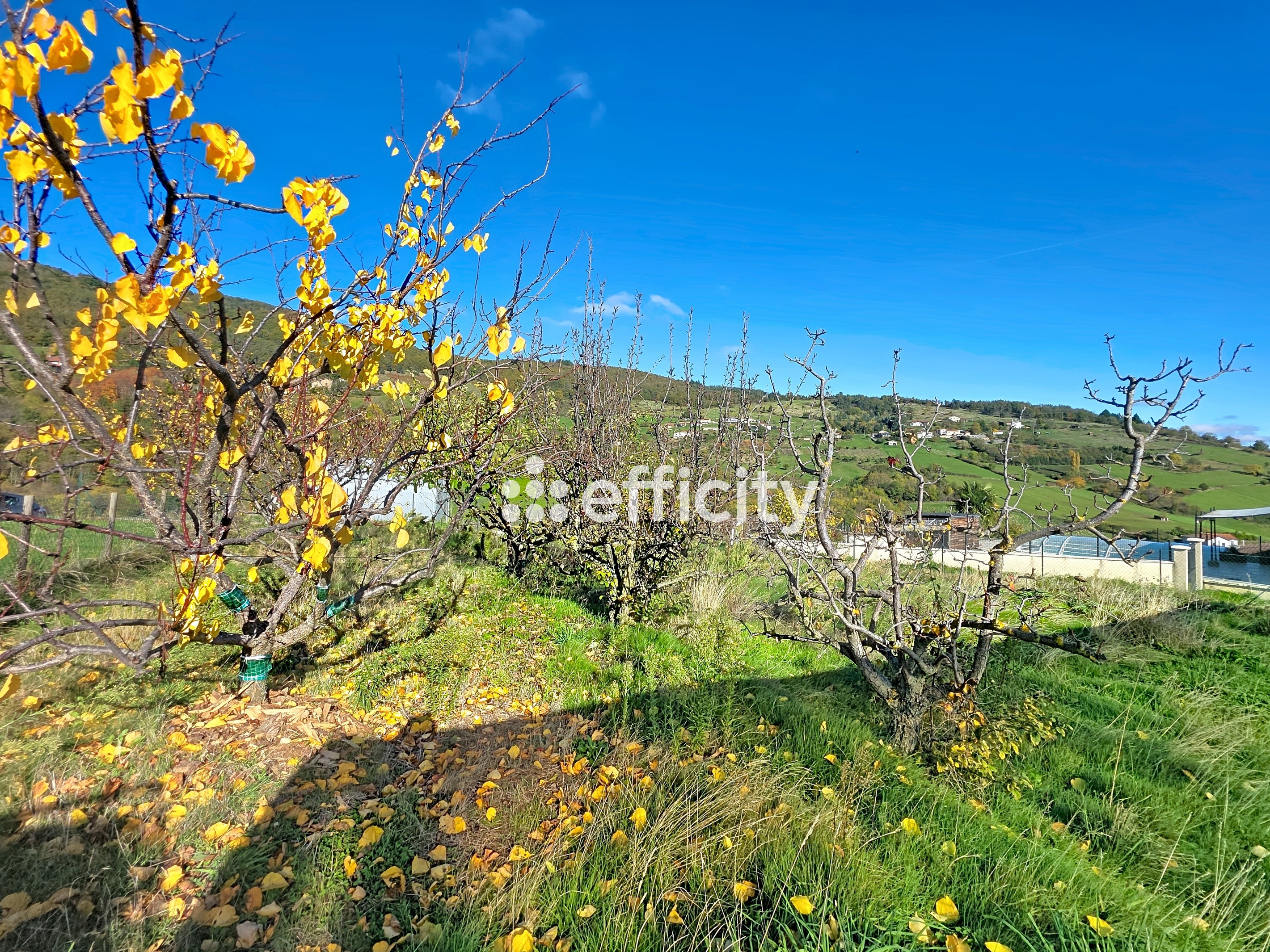 Achat immobilier Maison 5 pièces  175m2 à Saint-Romain-en-Jarez (42800) - Photo n°16