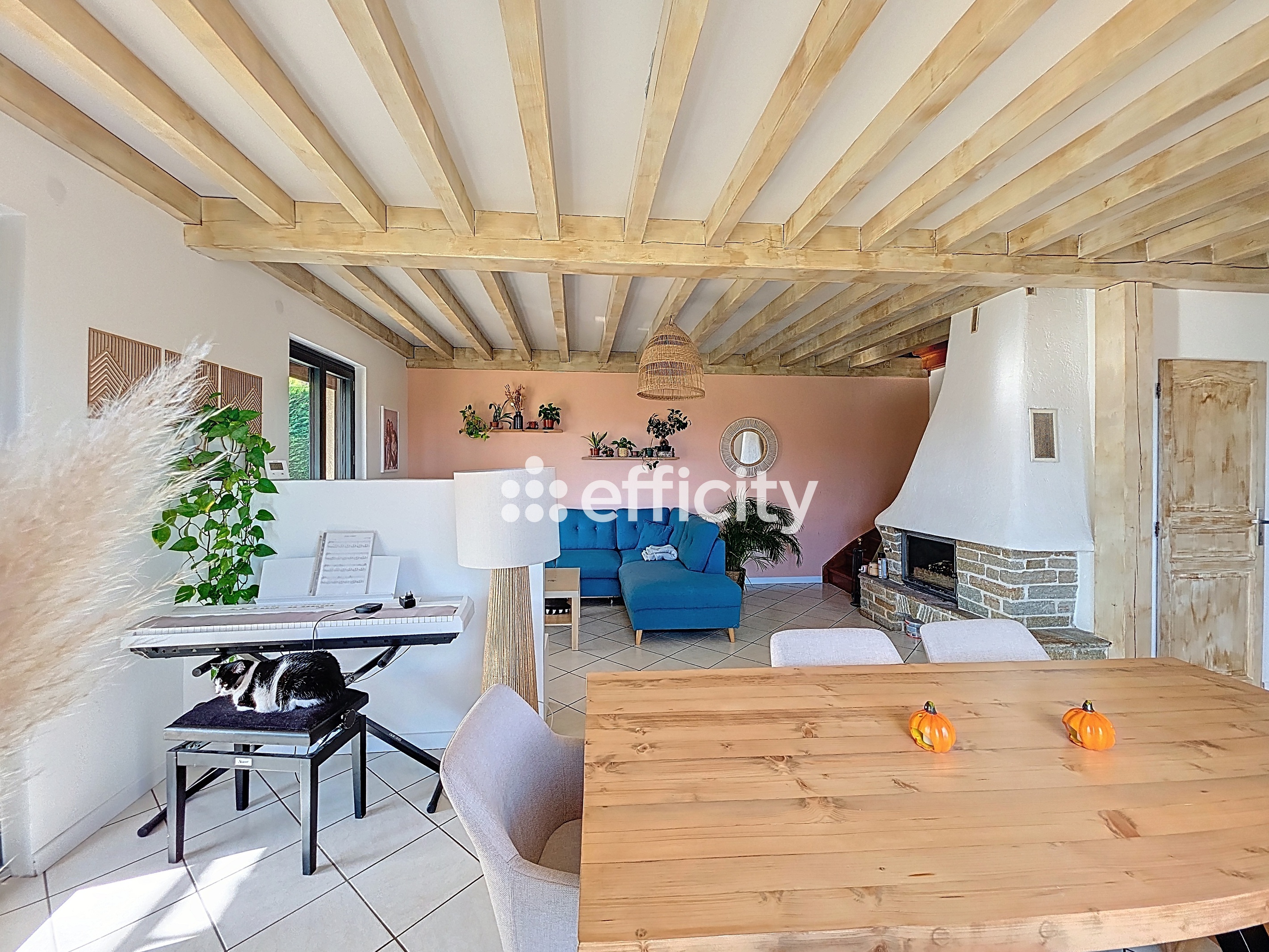 Achat immobilier Maison 5 pièces  175m2 à Saint-Romain-en-Jarez (42800) - Photo n°5