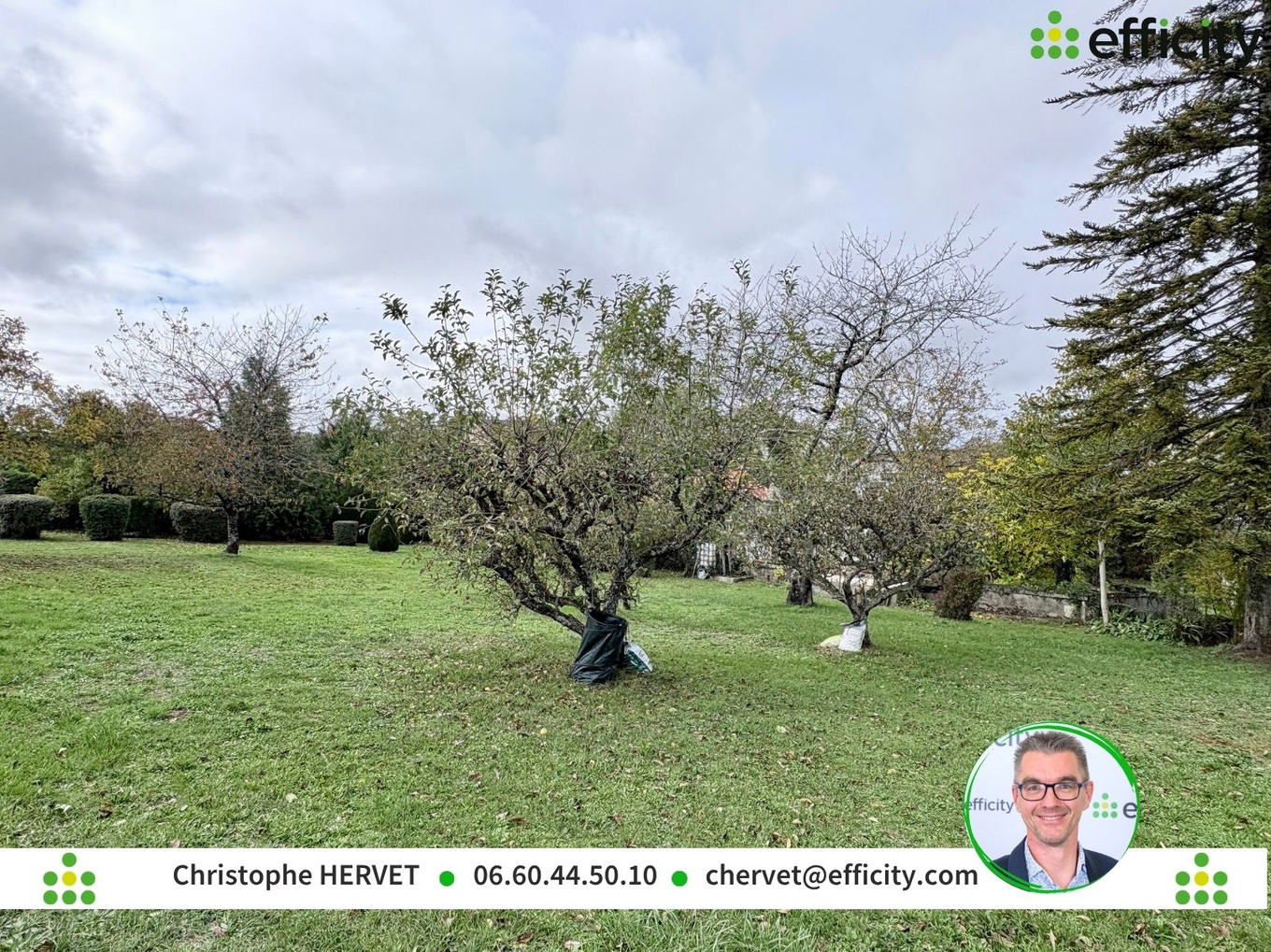 Achat immobilier Terrain   825m2 à Mouthiers-sur-Boëme (16440) - Photo n°6