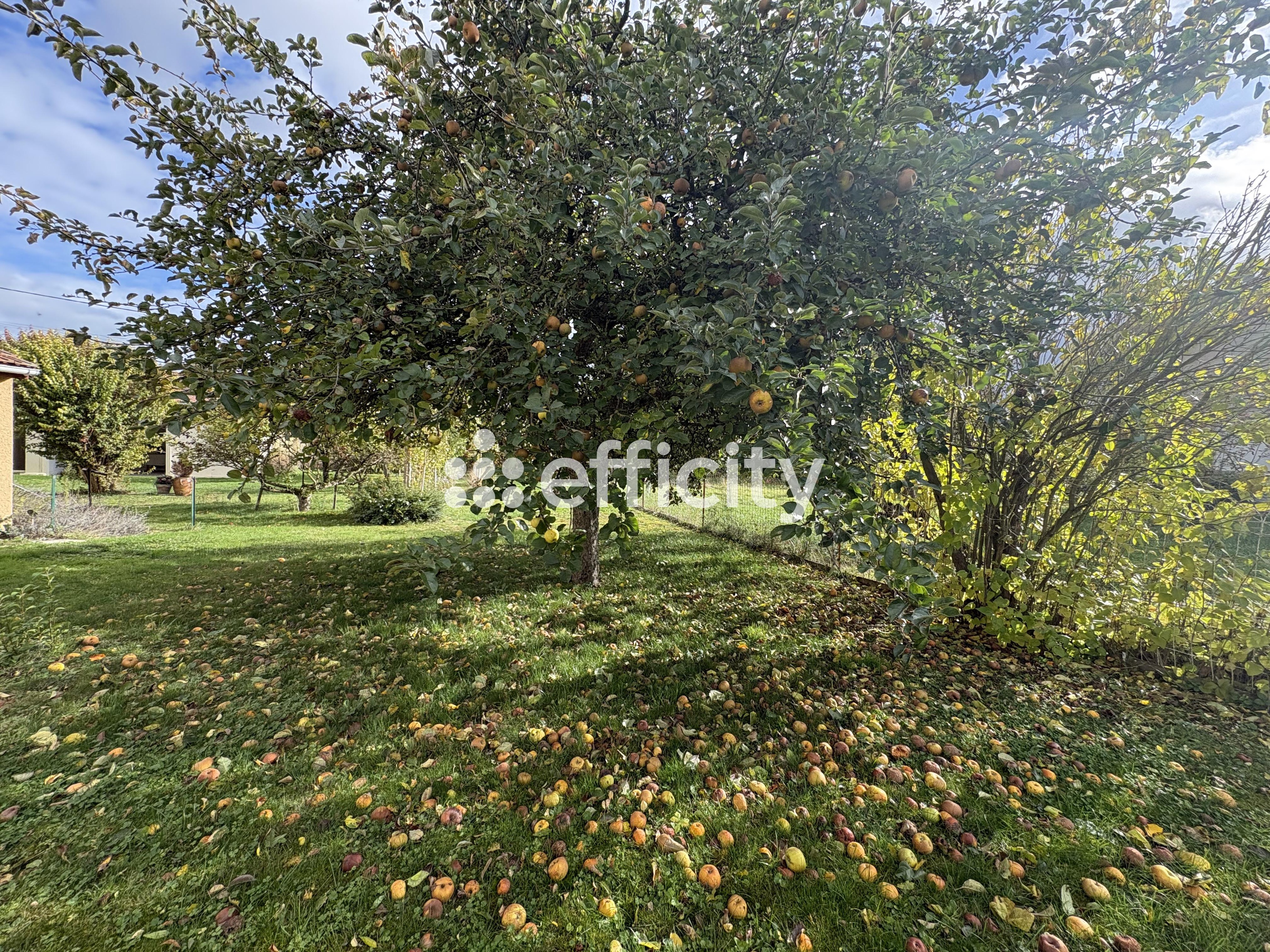 Achat immobilier Maison 3 pièces  86m2 à Époye (51490) - Photo n°8