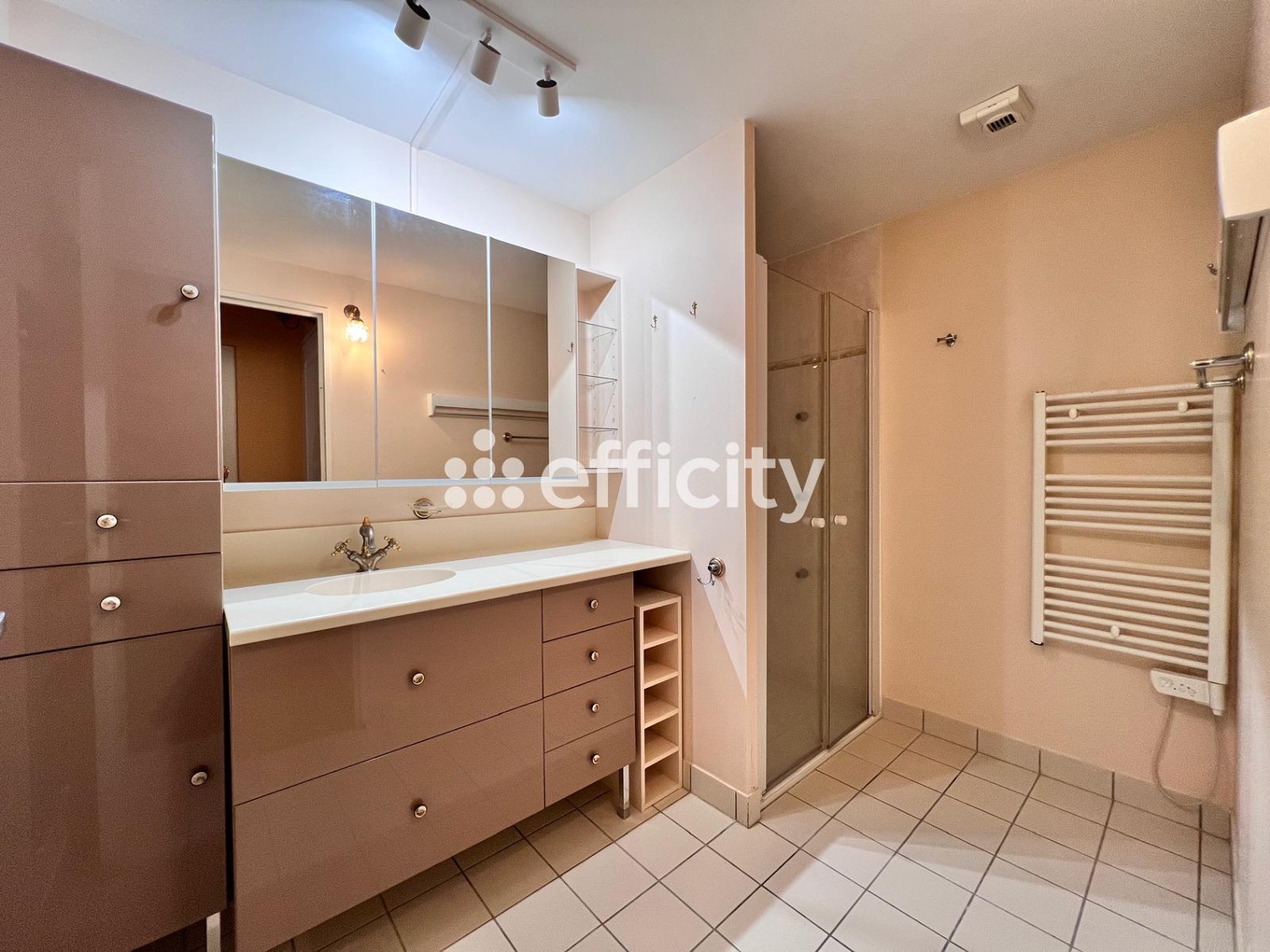 Achat immobilier Appartement 3 pièces  67m2 à Tours (37100) - Photo n°8