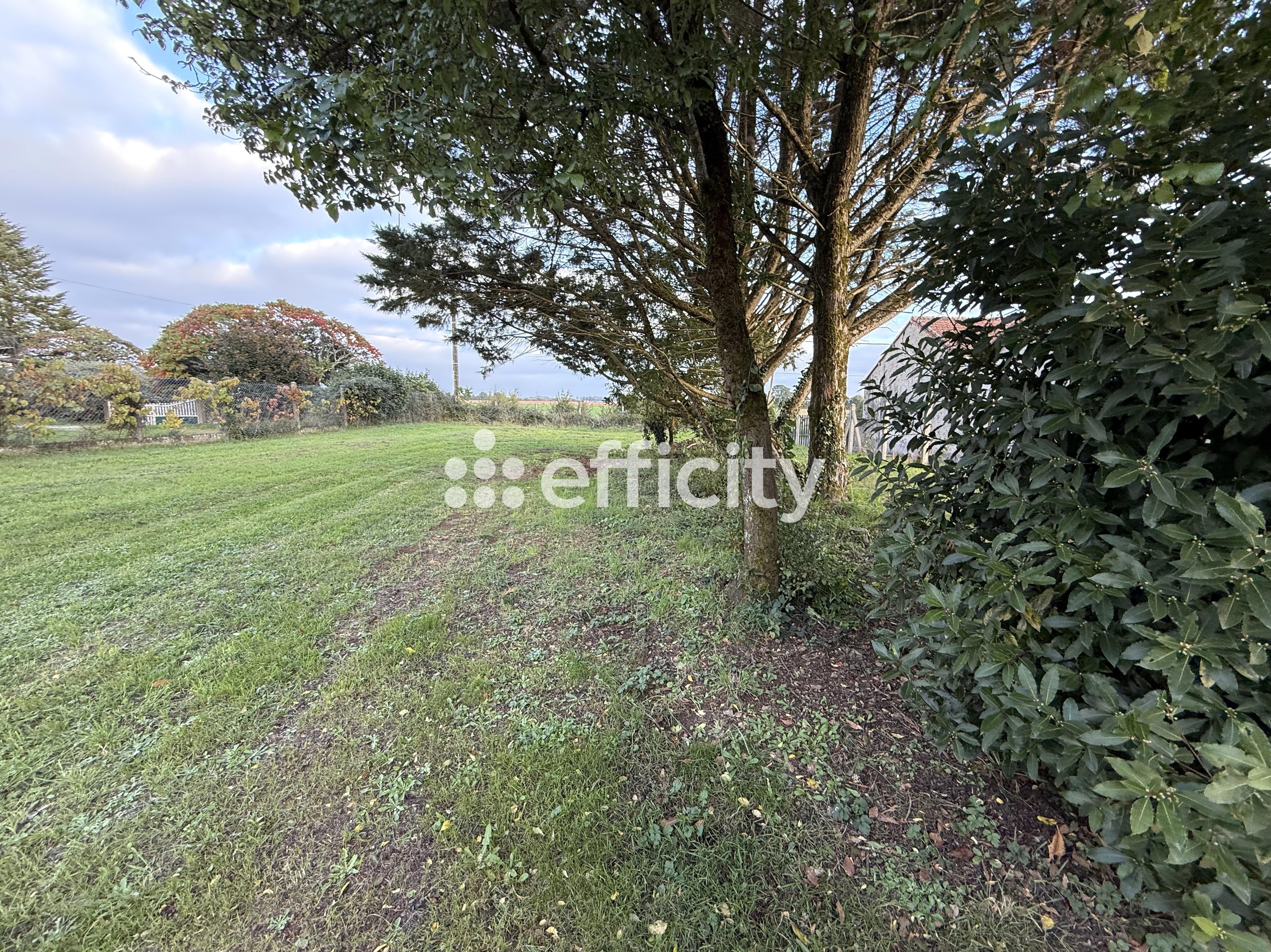 Achat immobilier Terrain   1715m2 à Ruffec (16700) - Photo n°4