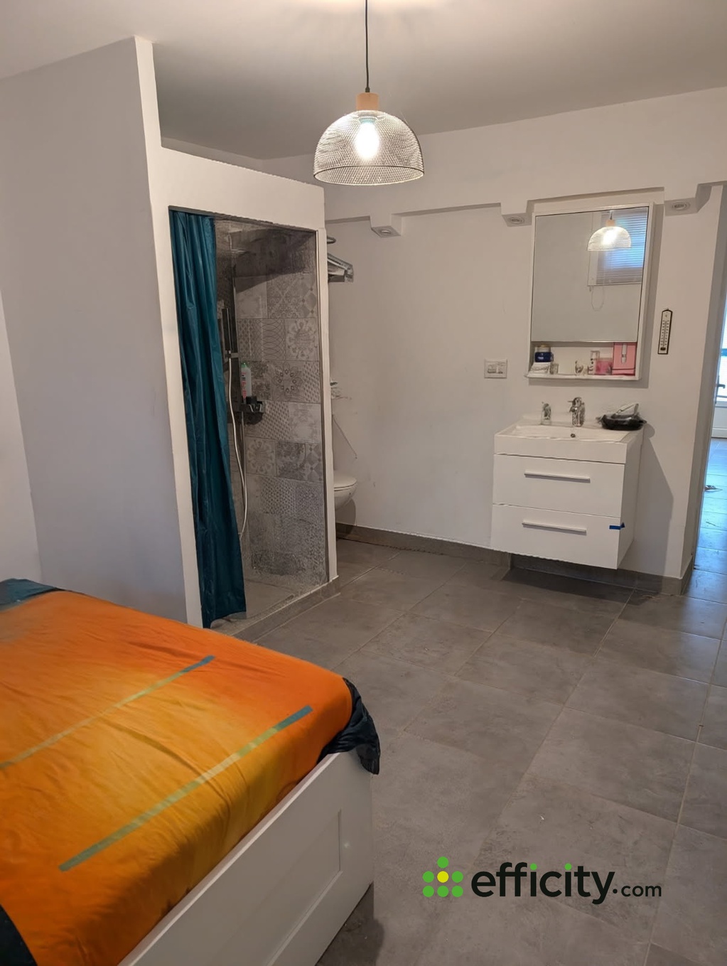 Achat immobilier Maison 7 pièces  168m2 à Relevant (01990) - Photo n°6