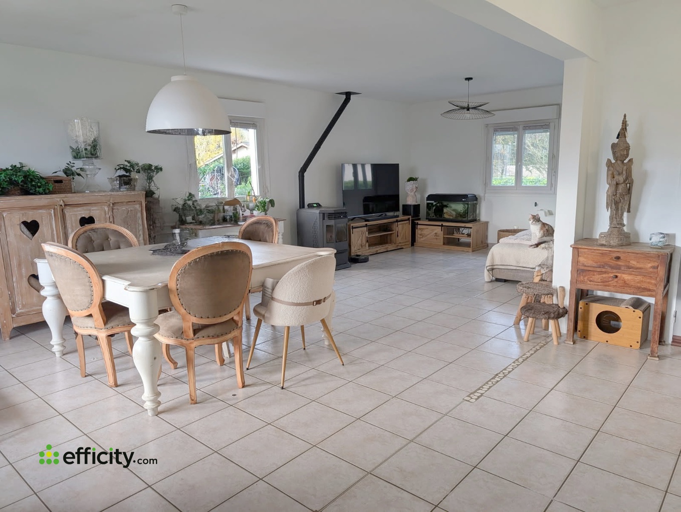 Achat immobilier Maison 7 pièces  168m2 à Relevant (01990) - Photo n°4