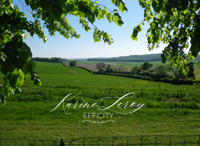 maison 12 pièces - 400m2 à Mareil-en-France (95850)