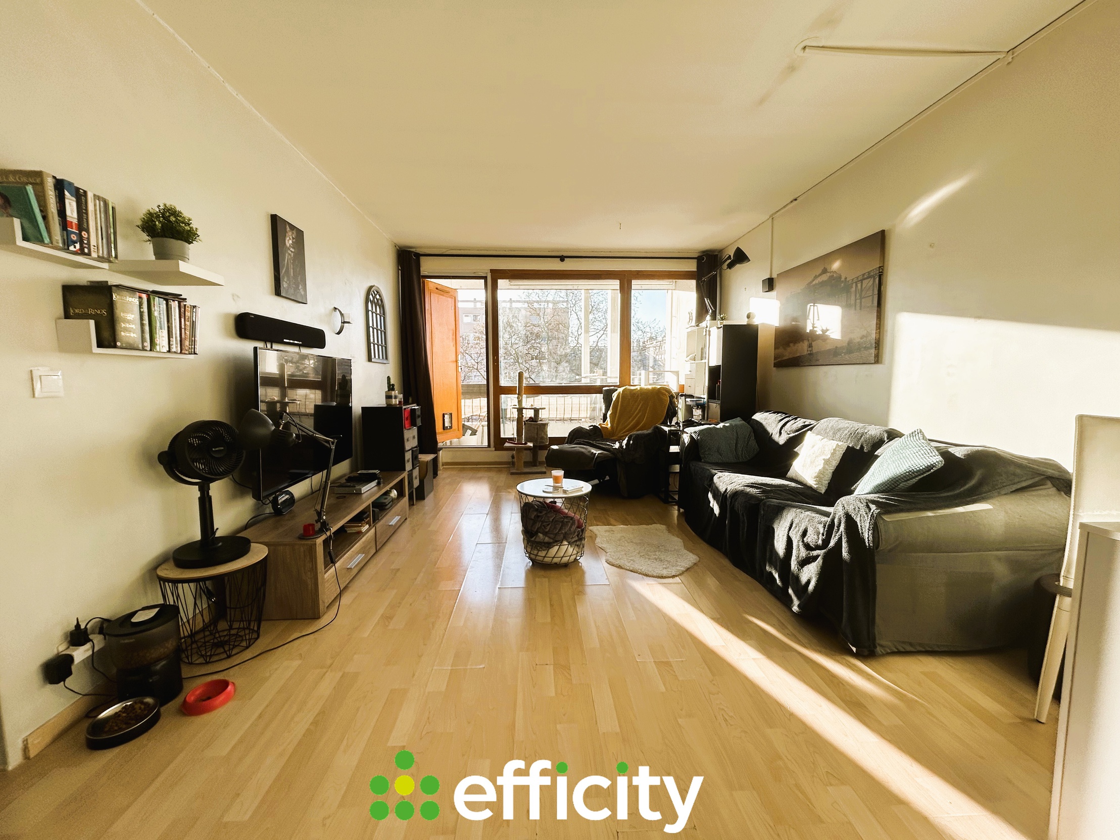 appartement 3 pièces - 59m2 à Villeurbanne (69100)