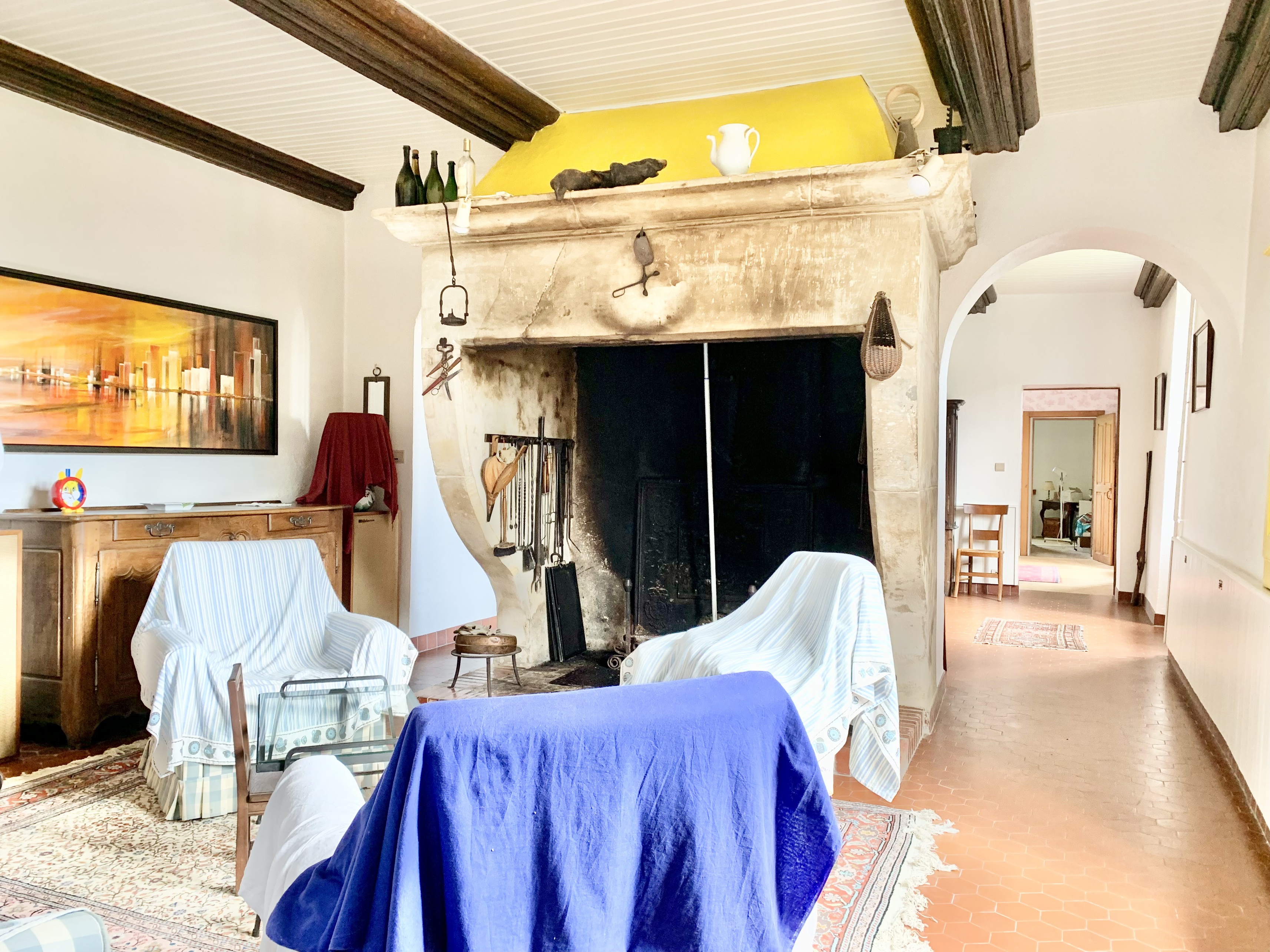 Achat immobilier Maison 9 pièces  331m2 à Brémoncourt (54290) - Photo n°8