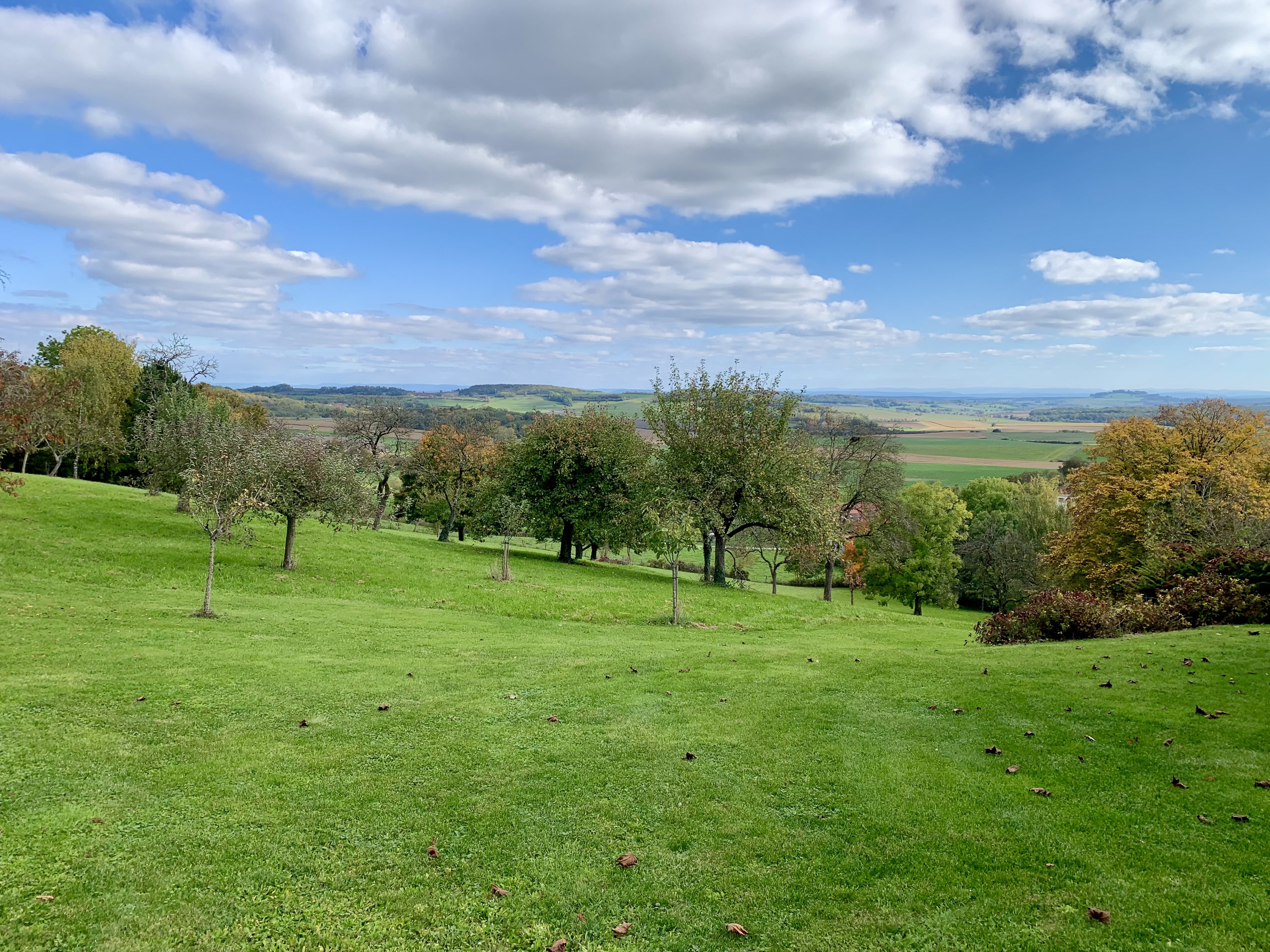 Achat immobilier Maison 9 pièces  331m2 à Brémoncourt (54290) - Photo n°4