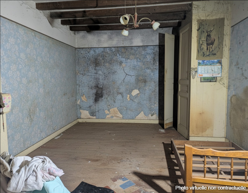 Achat immobilier Maison 4 pièces  95m2 à Bléré (37150) - Photo n°6
