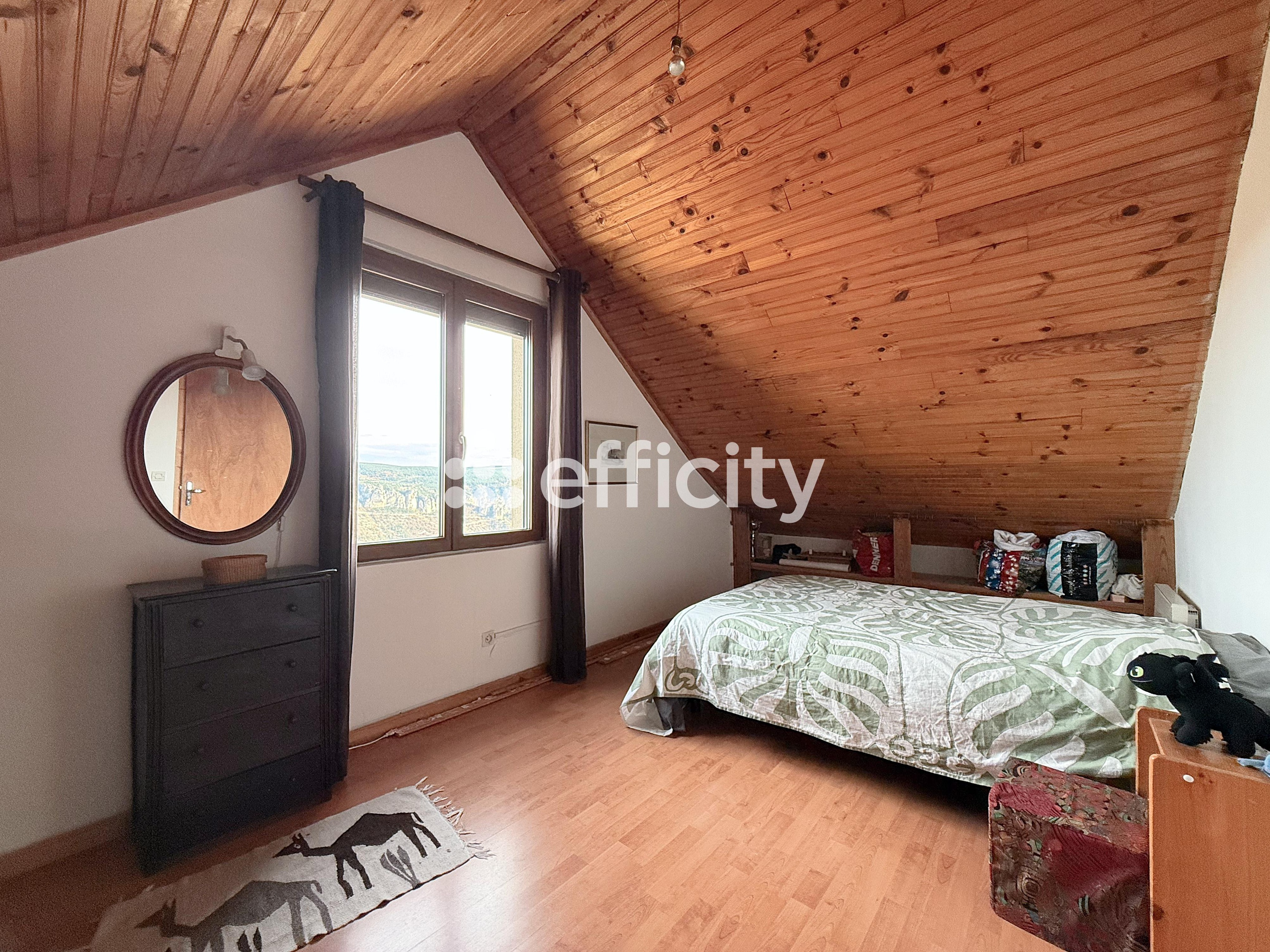 Achat immobilier Maison 5 pièces  111m2 à Massegros Causses Gorges (48500) - Photo n°12