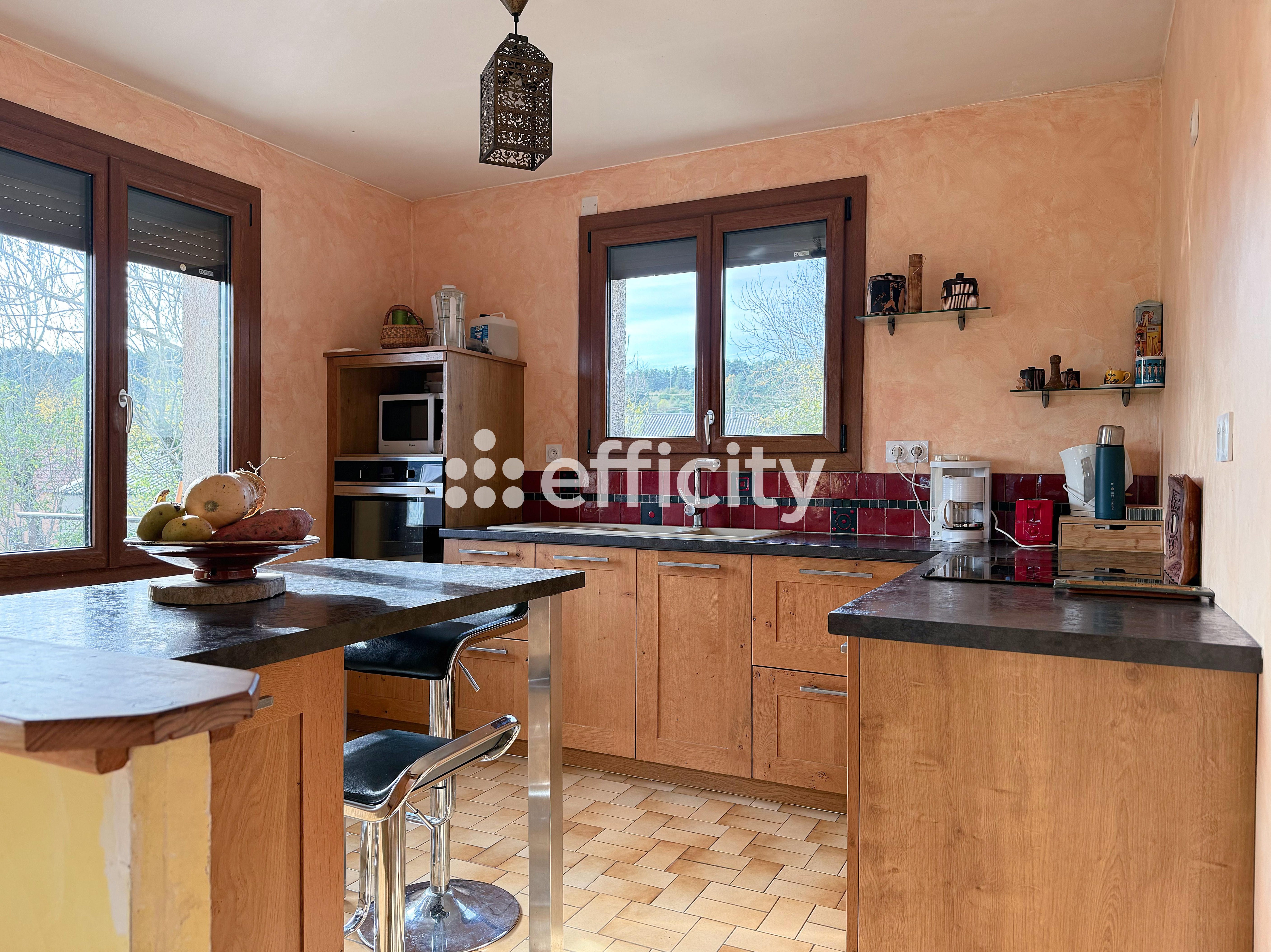 Achat immobilier Maison 5 pièces  111m2 à Massegros Causses Gorges (48500) - Photo n°7