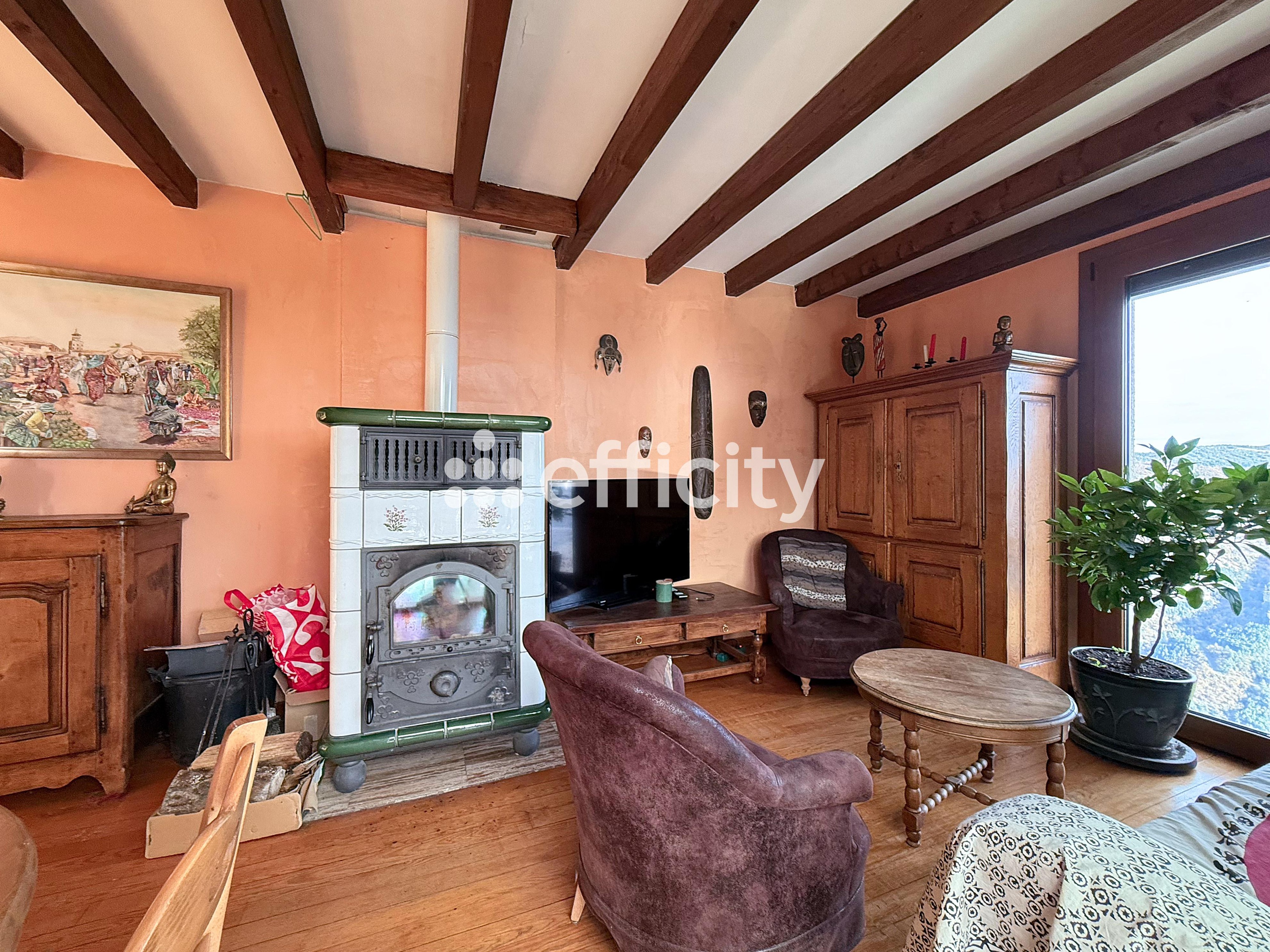 Achat immobilier Maison 5 pièces  111m2 à Massegros Causses Gorges (48500) - Photo n°9