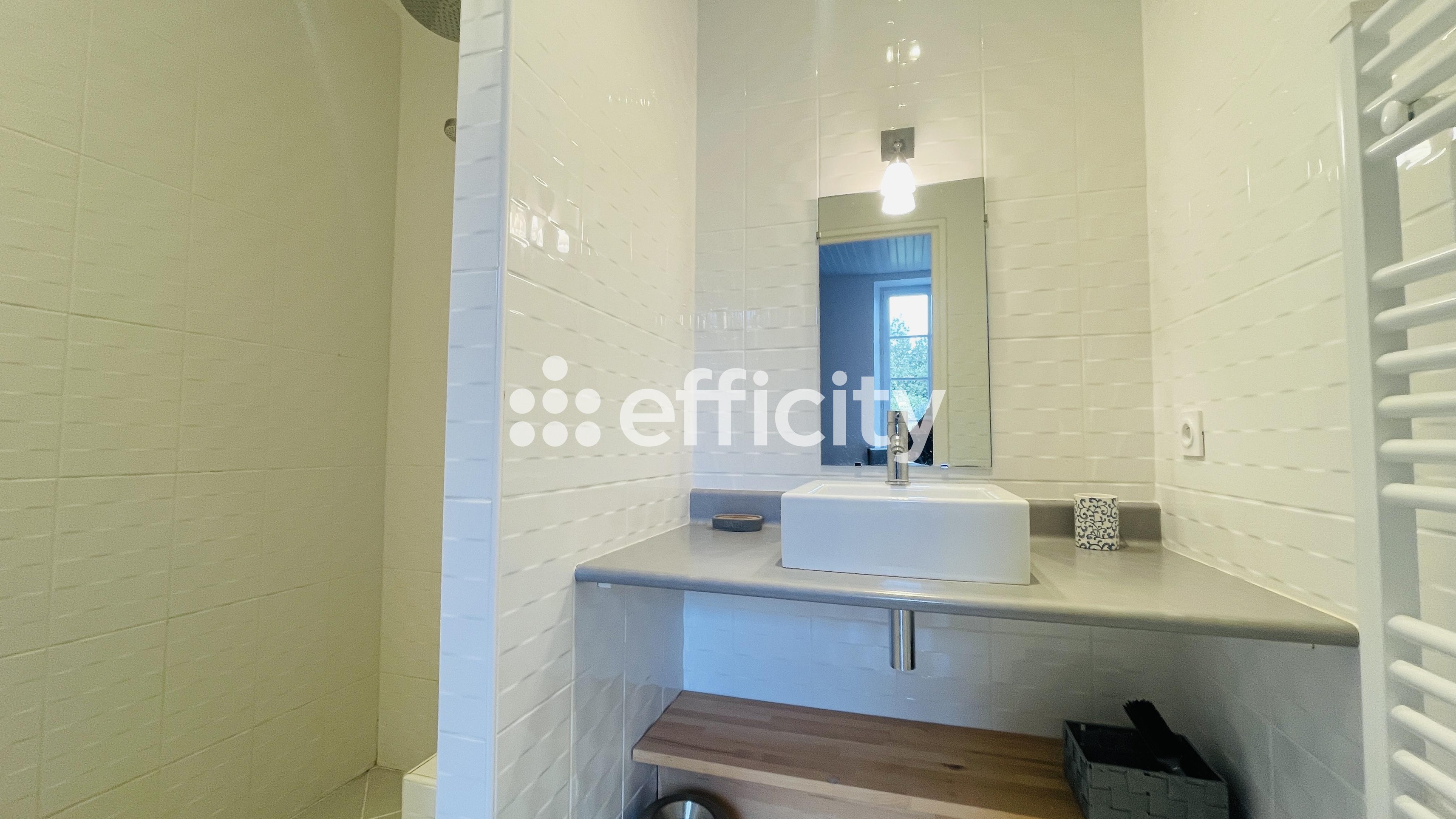 Achat immobilier Maison 8 pièces  200m2 à Saint-Georges-d'Oléron (17190) - Photo n°19