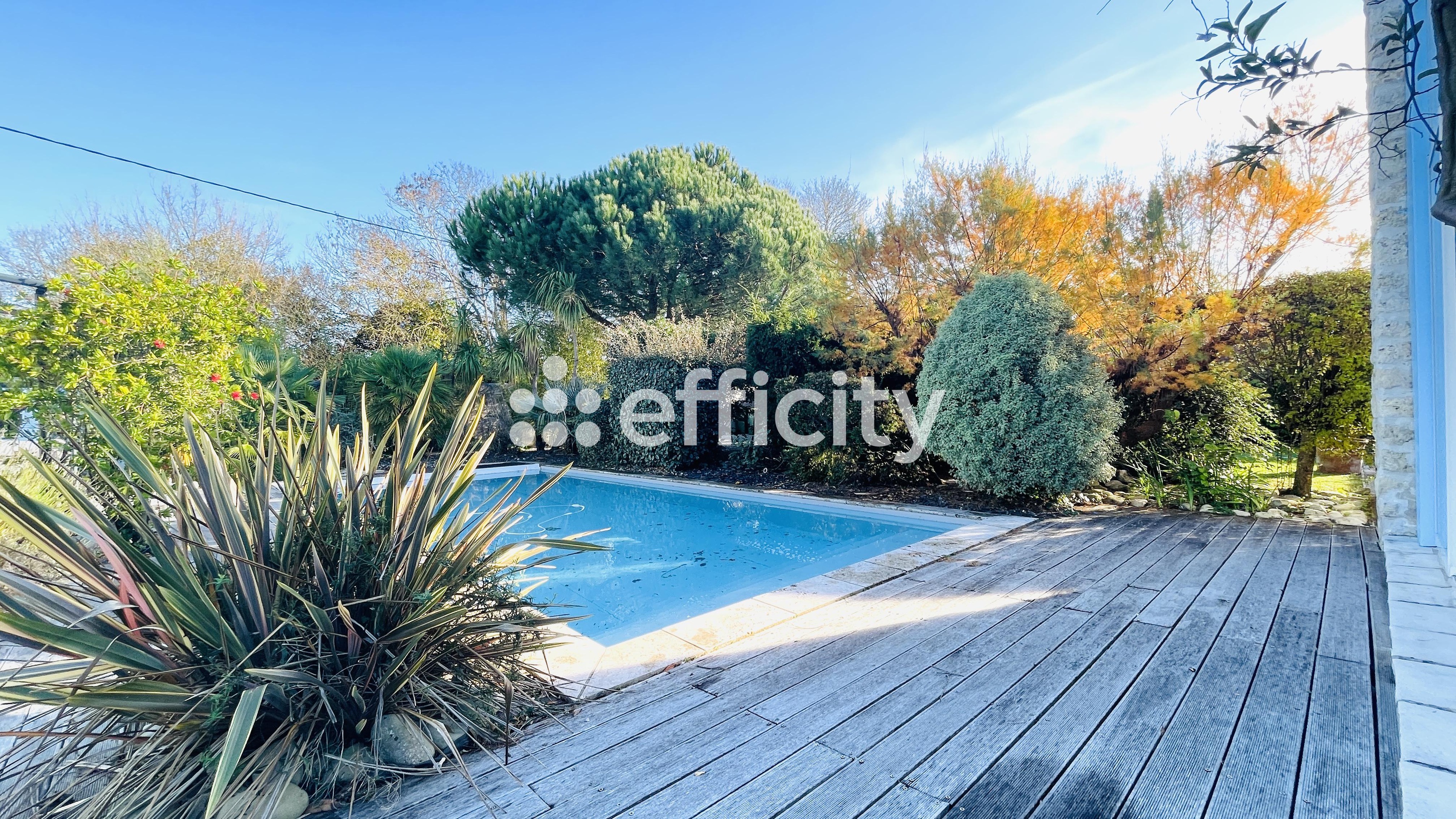 Achat immobilier Maison 8 pièces  200m2 à Saint-Georges-d'Oléron (17190) - Photo n°6