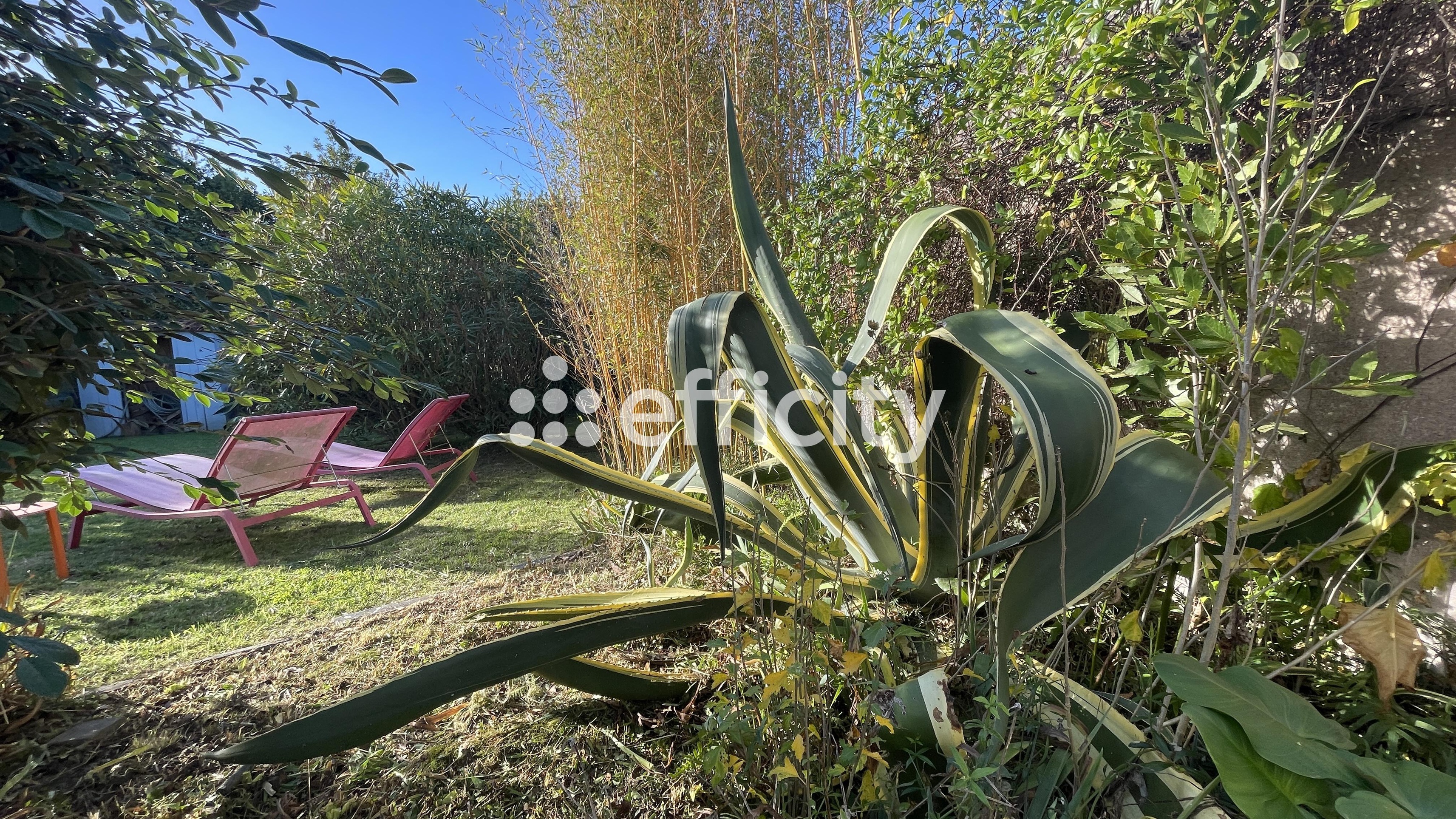 Achat immobilier Maison 8 pièces  200m2 à Saint-Georges-d'Oléron (17190) - Photo n°35