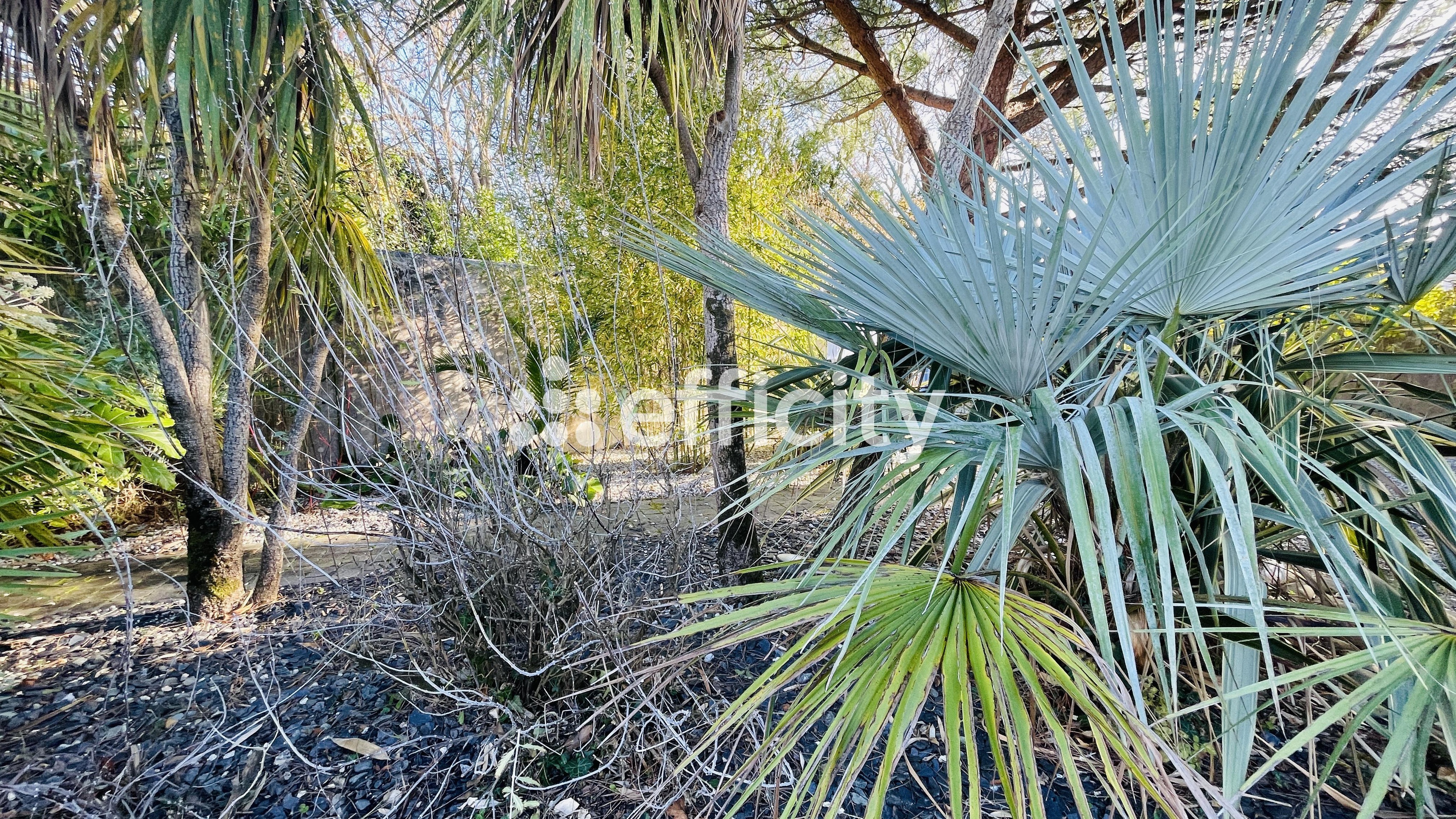 Achat immobilier Maison 8 pièces  200m2 à Saint-Georges-d'Oléron (17190) - Photo n°8