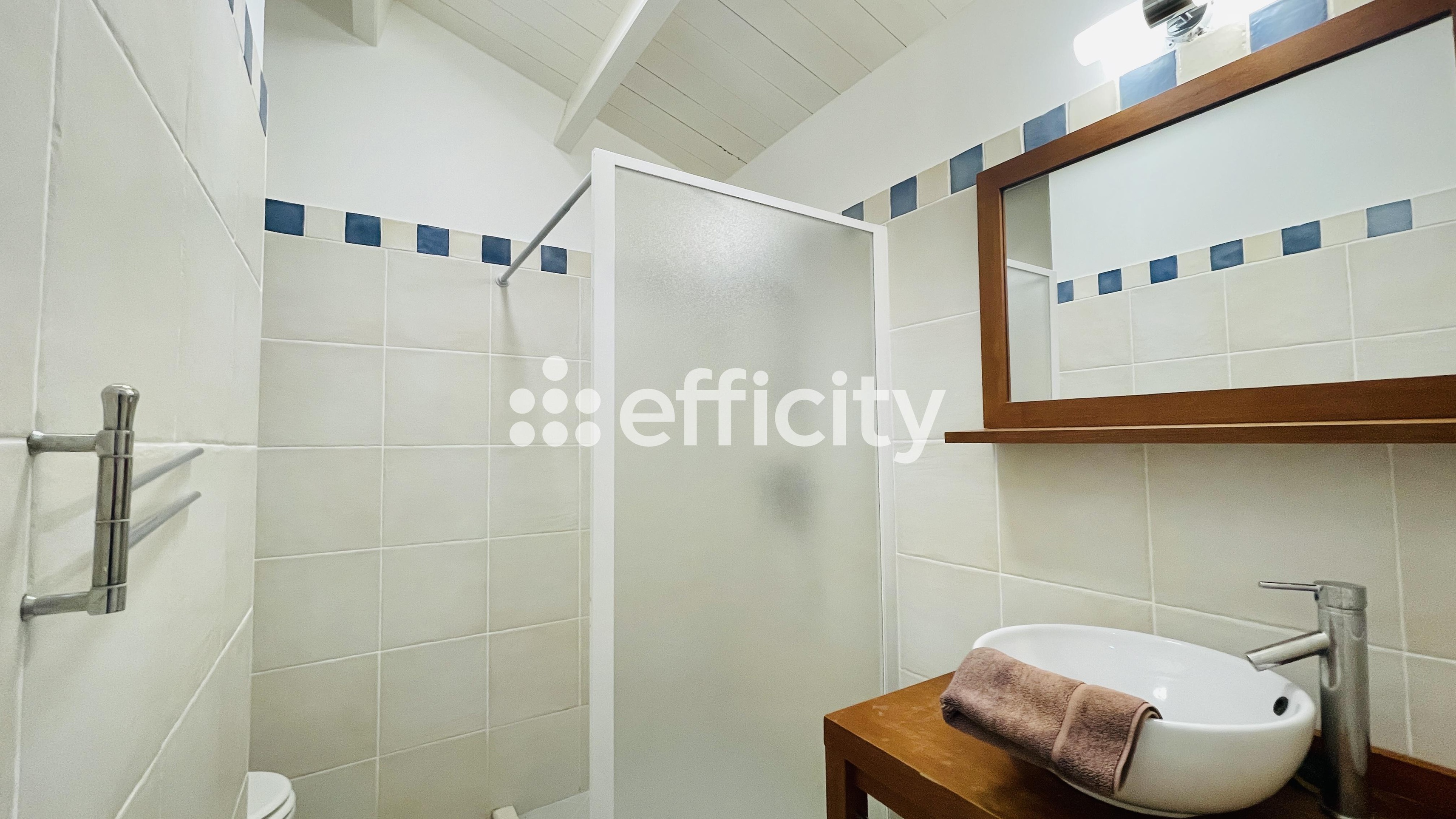 Achat immobilier Maison 8 pièces  200m2 à Saint-Georges-d'Oléron (17190) - Photo n°28