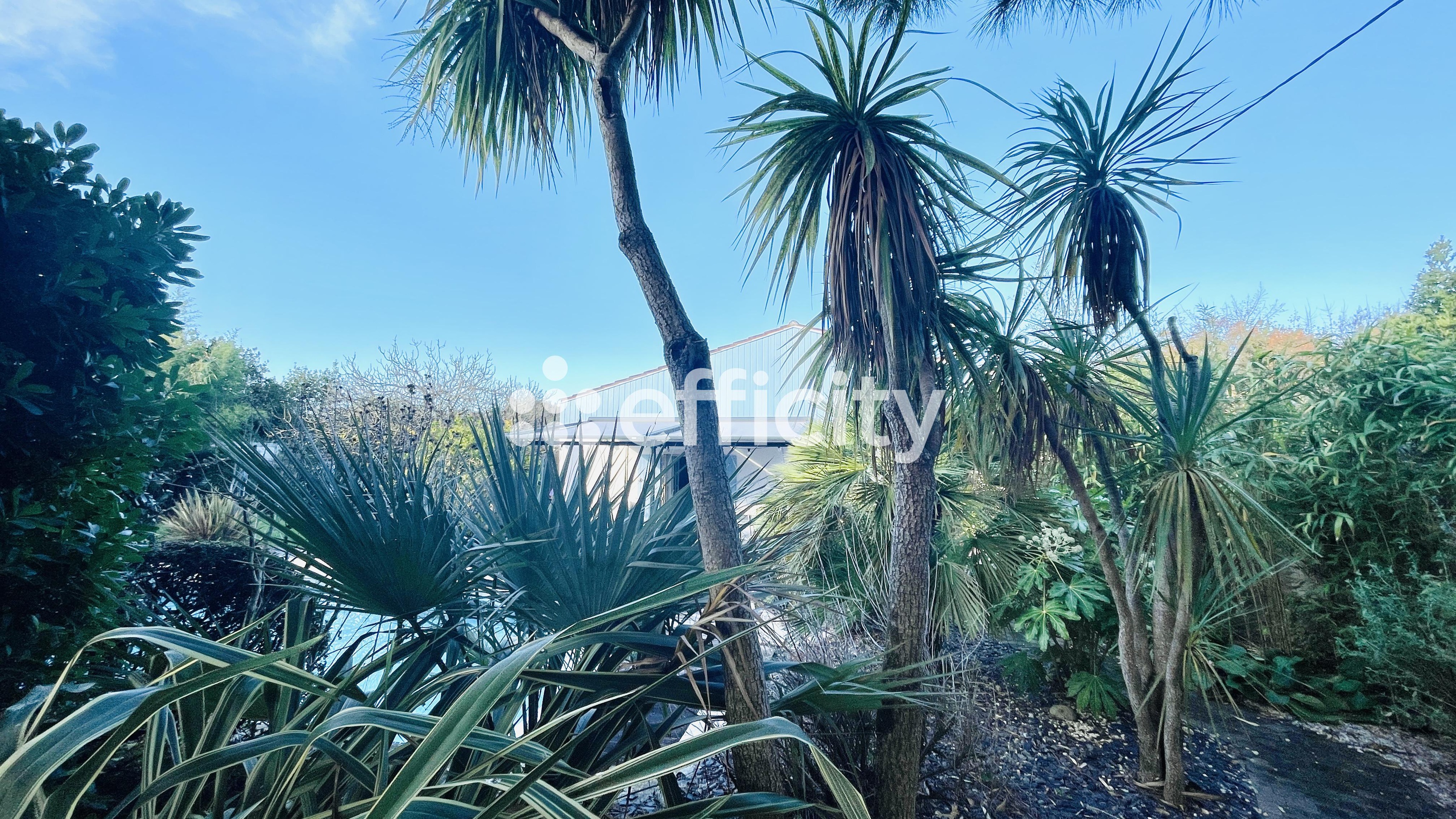 Achat immobilier Maison 8 pièces  200m2 à Saint-Georges-d'Oléron (17190) - Photo n°7