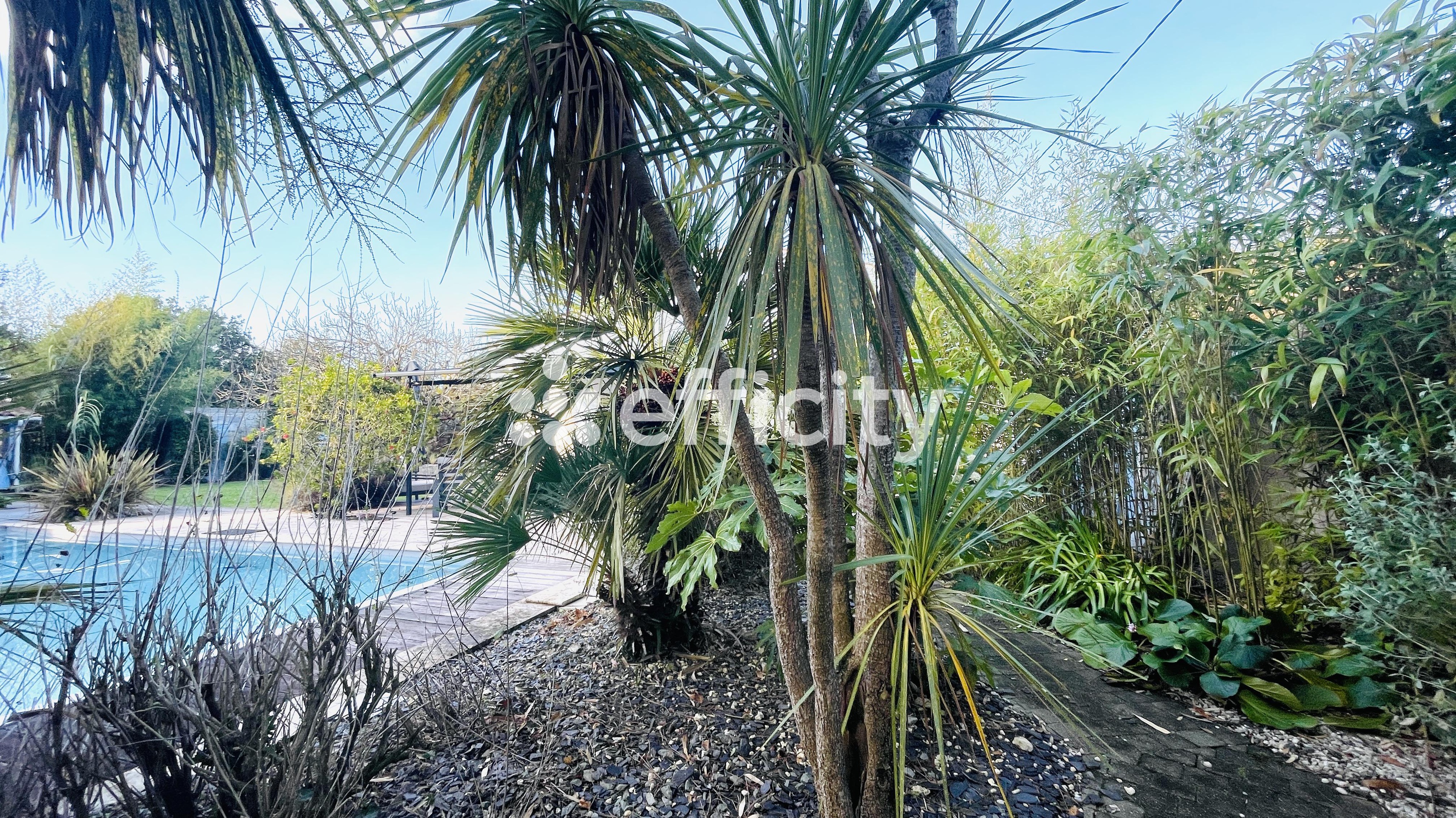 Achat immobilier Maison 8 pièces  200m2 à Saint-Georges-d'Oléron (17190) - Photo n°1