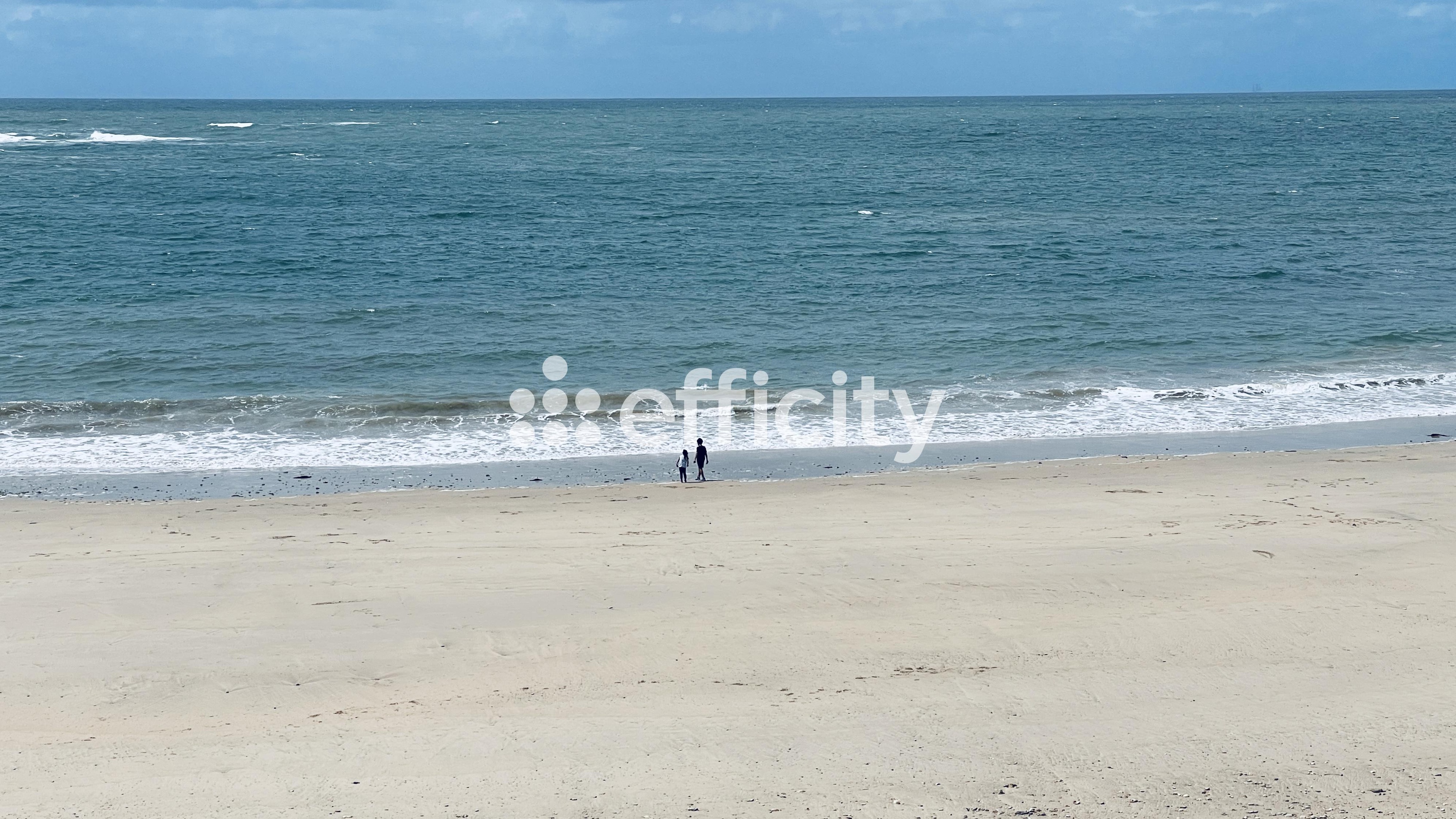 Achat immobilier Maison 8 pièces  200m2 à Saint-Georges-d'Oléron (17190) - Photo n°36