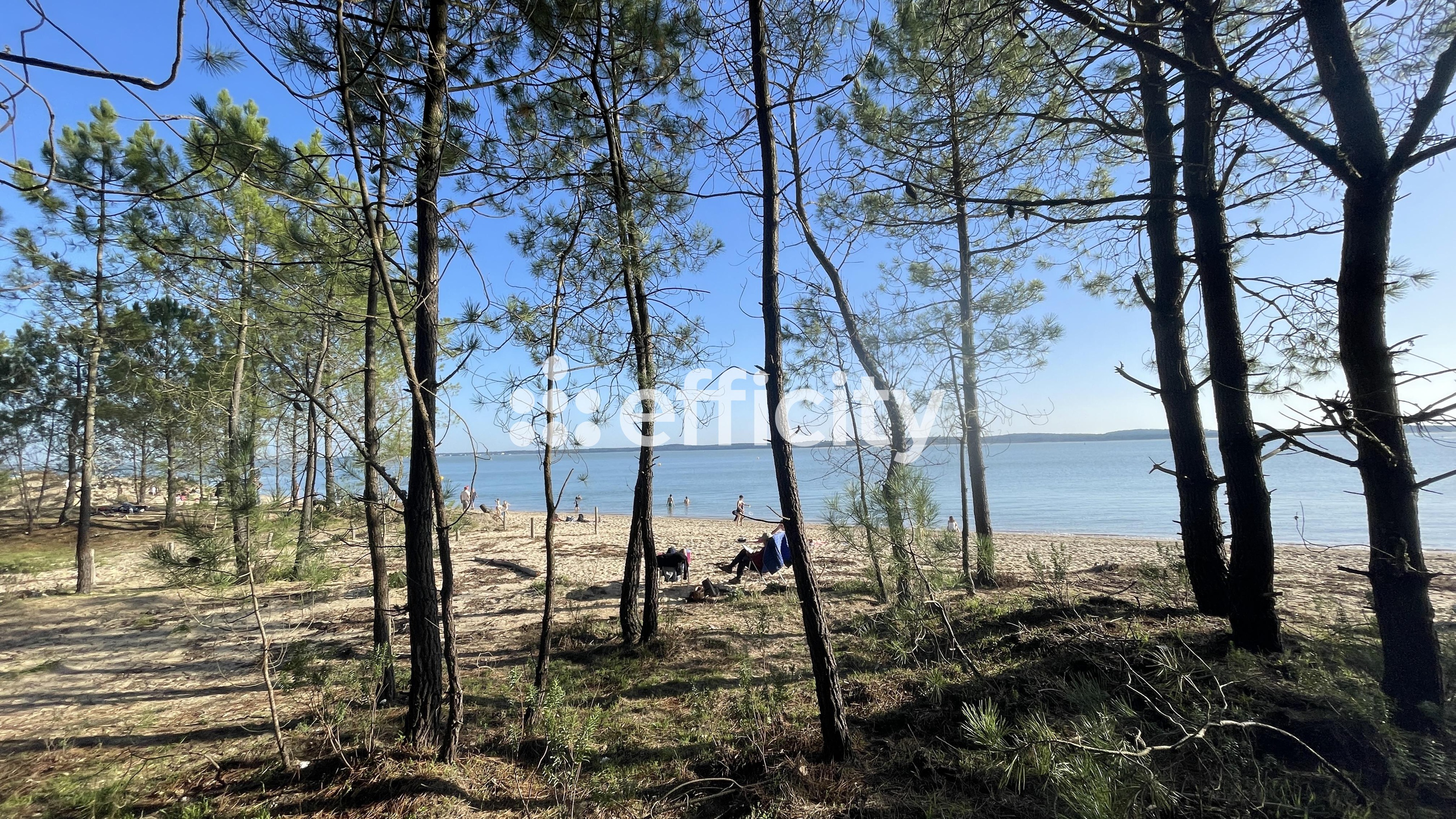 Achat immobilier Maison 8 pièces  200m2 à Saint-Georges-d'Oléron (17190) - Photo n°38