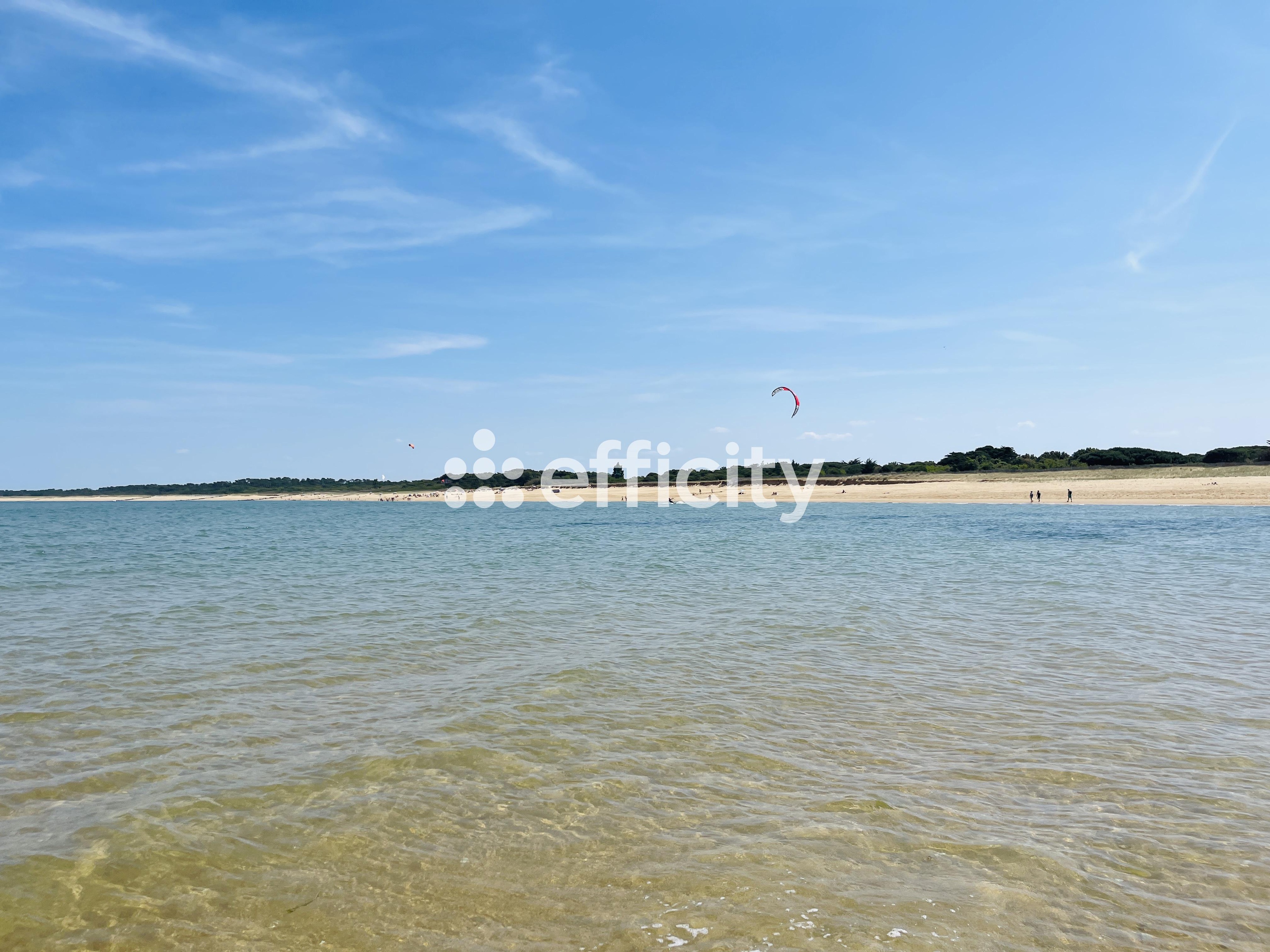 Achat immobilier Maison 8 pièces  200m2 à Saint-Georges-d'Oléron (17190) - Photo n°37