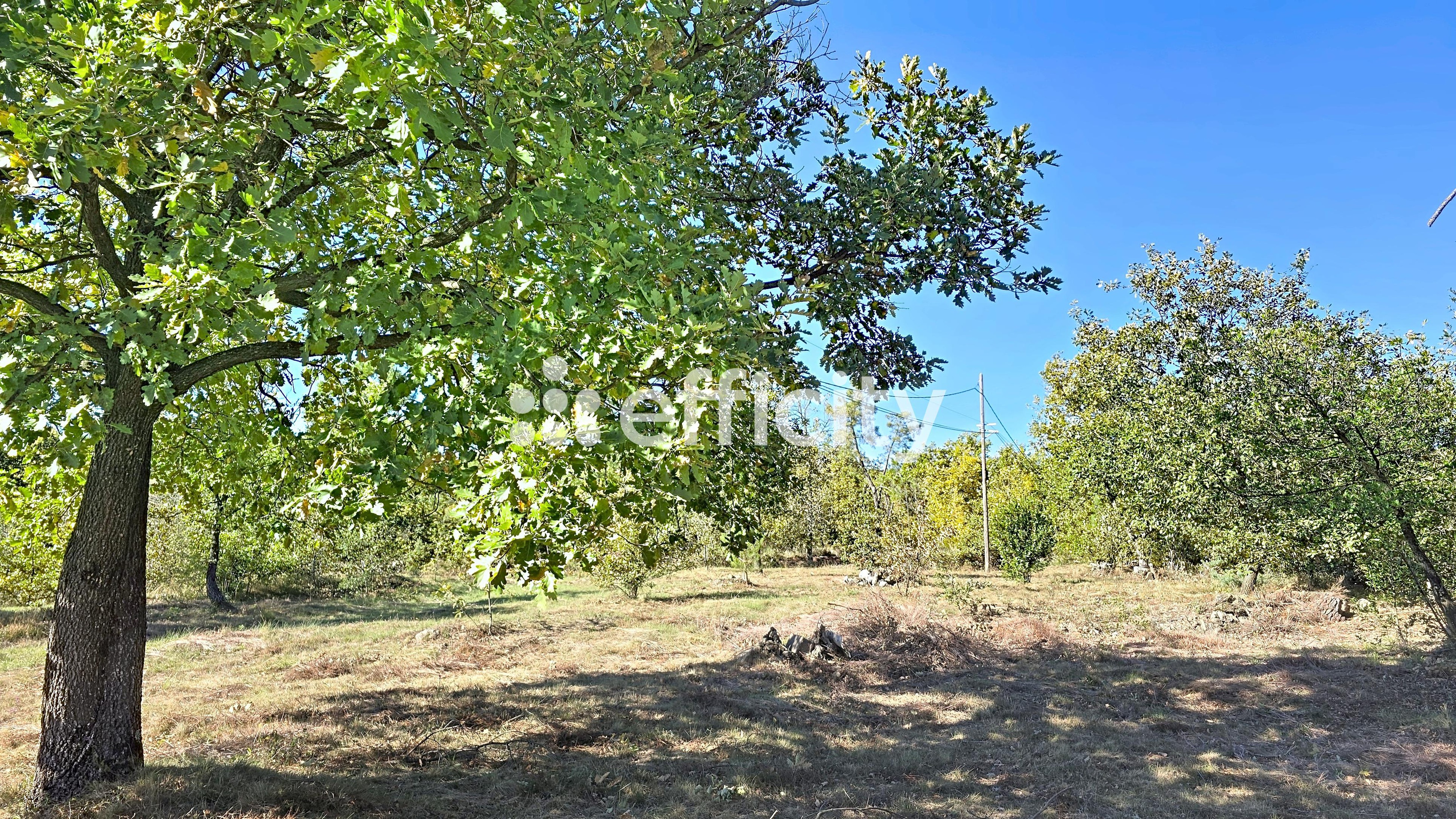 Achat immobilier Maison 2 pièces  125m2 à Sanilhac (07110) - Photo n°5