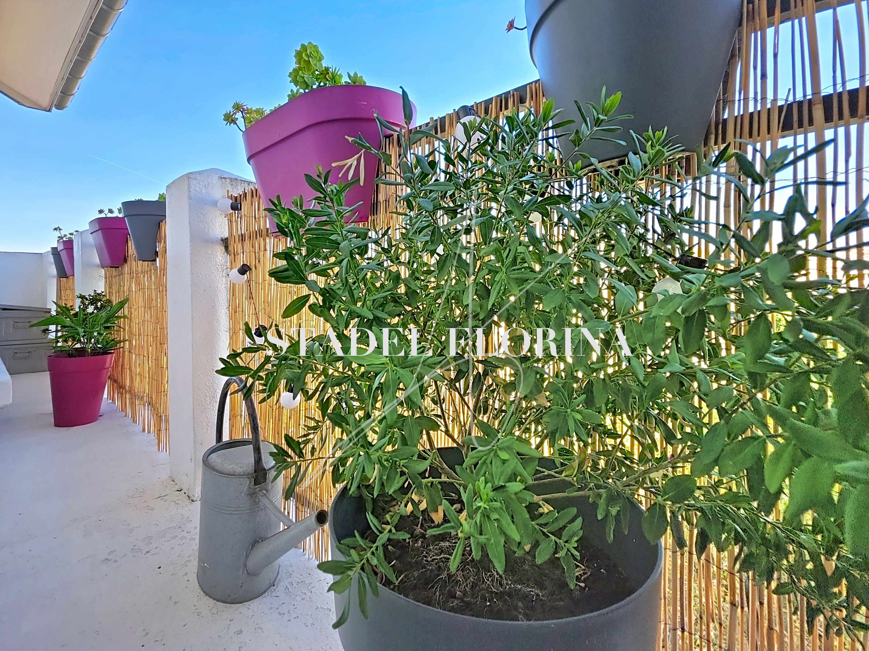 Achat immobilier Appartement 2 pièces  29m2 à Montreuil (93100) - Photo n°4