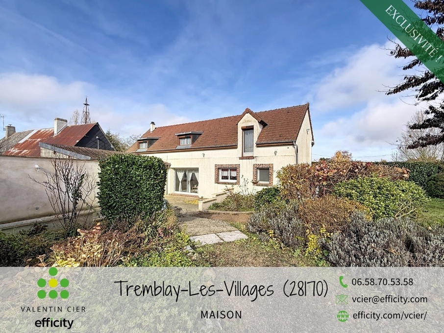 Achat immobilier Maison 5 pièces  144m2 à Châteauneuf-en-Thymerais (28170) - Photo n°1