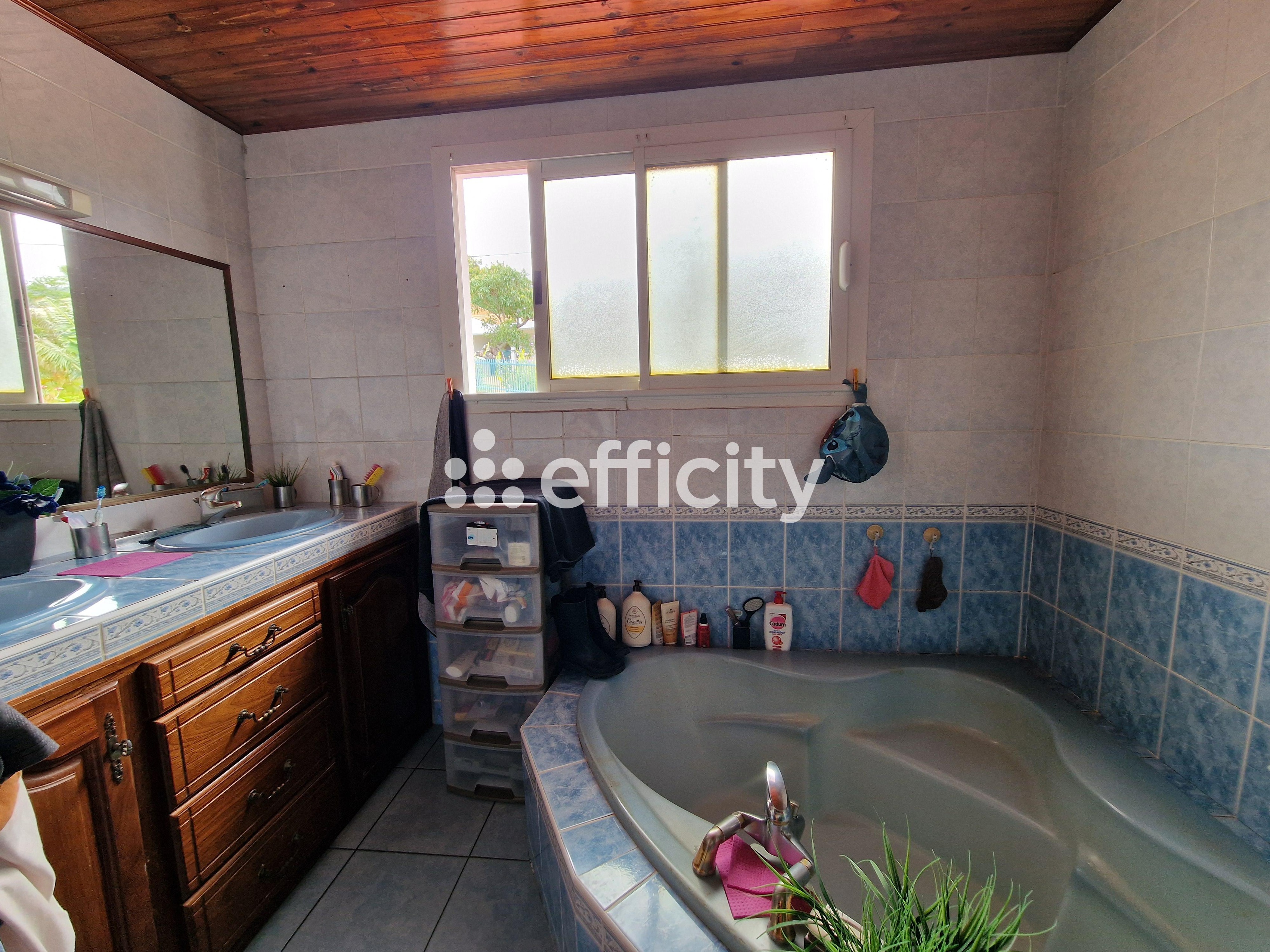 Achat immobilier Maison 5 pièces  130m2 à Saint-Denis (97400) - Photo n°10