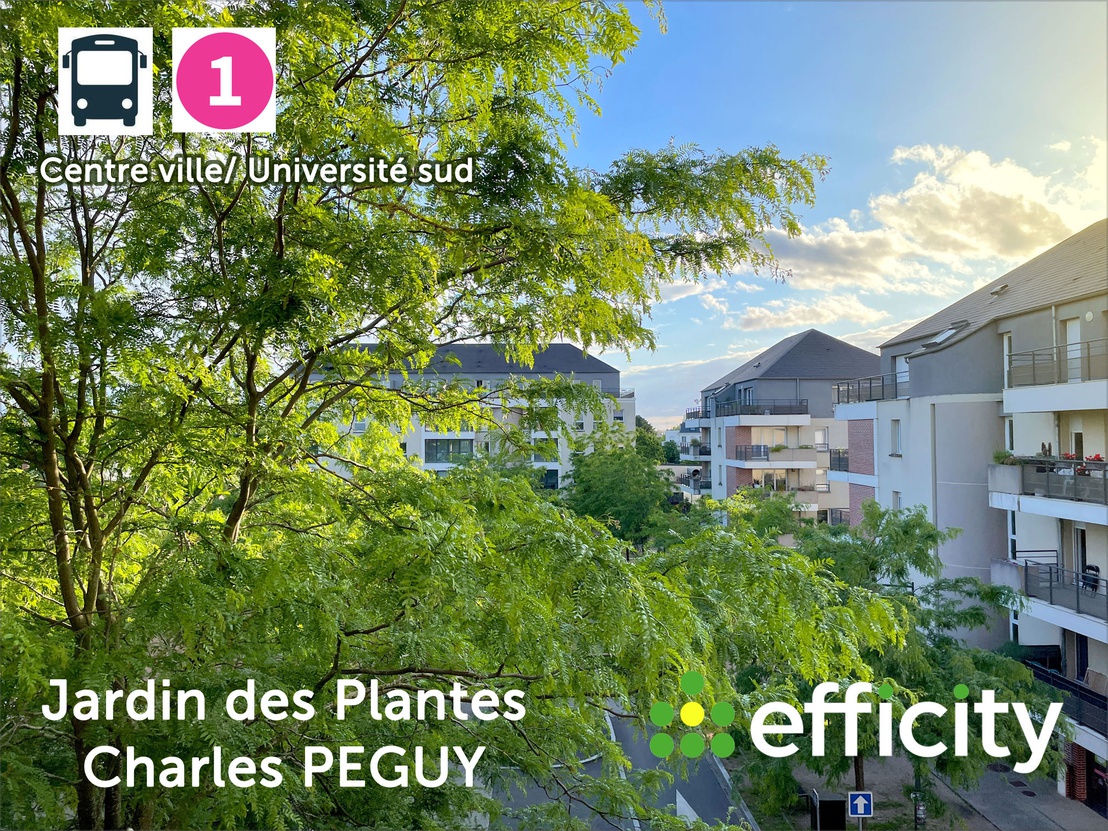 appartement 3 pièces - 70m2 à Orléans (45100)